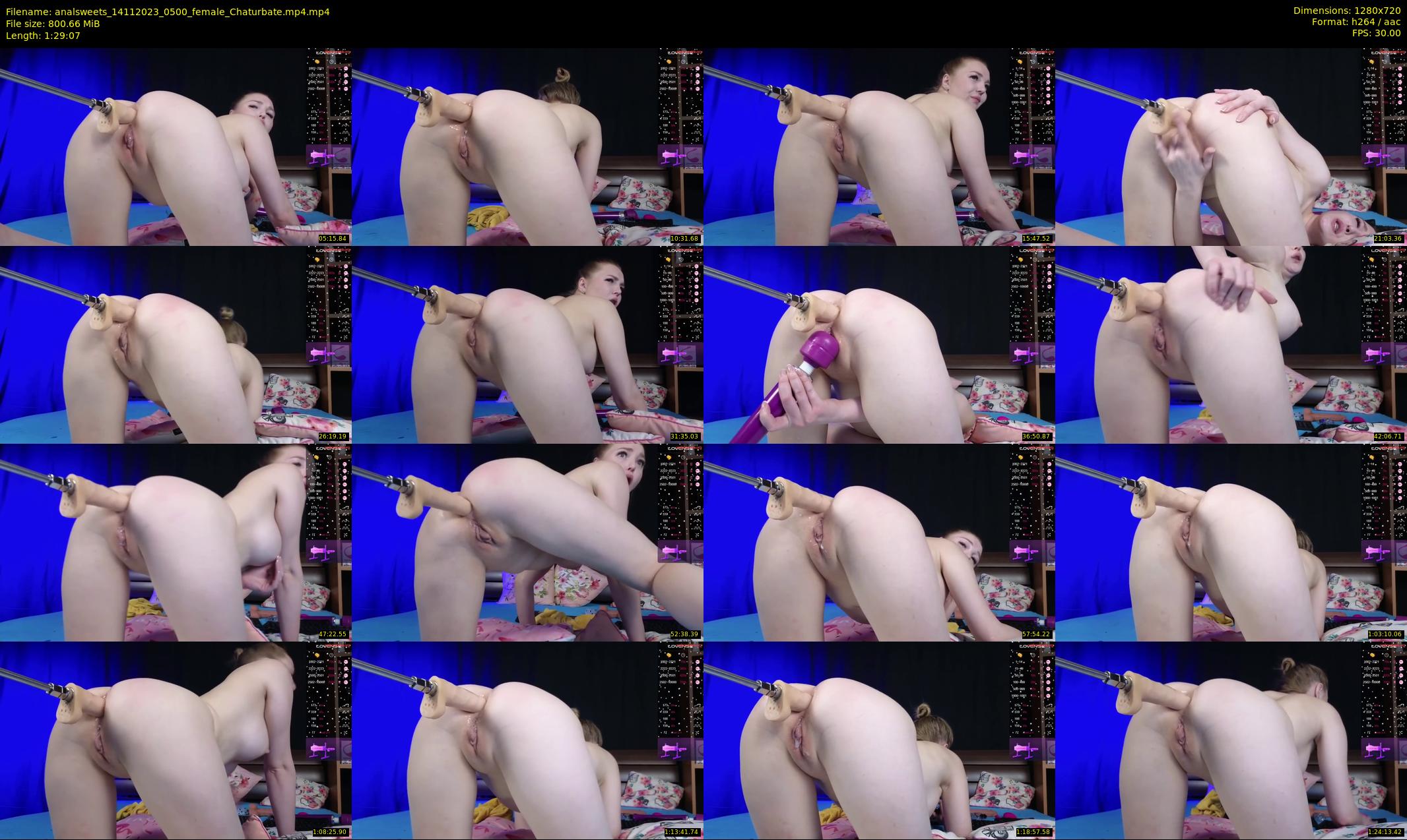 analsweets — 90 minute Chaturbate couple cam show recording, 720p, Nov 14, 2023