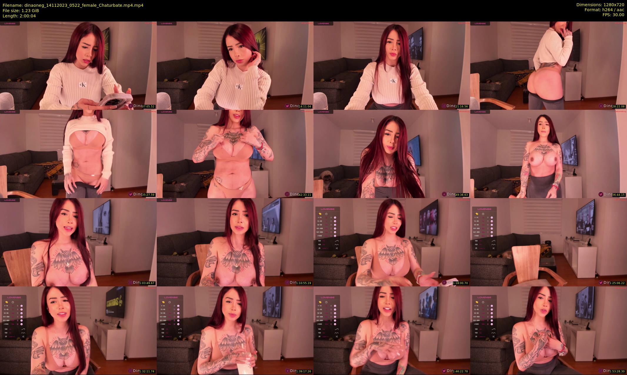 dinaoneg — 121 minute Chaturbate female cam show recording, 720p, Nov 14, 2023