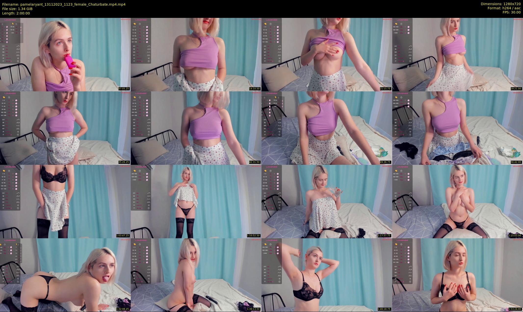 pamelaryant — 120 minute Chaturbate female cam show recording, 720p, Nov 13, 2023