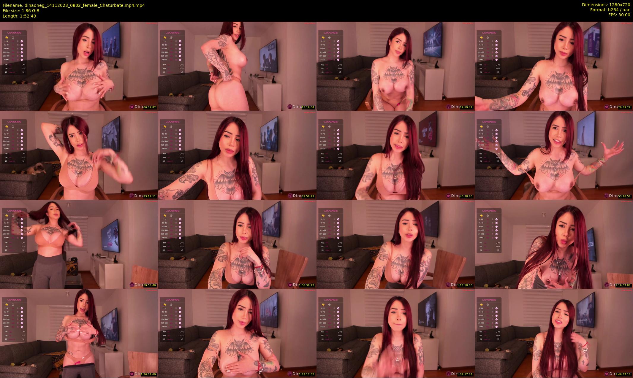 dinaoneg — 113 minute Chaturbate female cam show recording, 720p, Nov 14, 2023