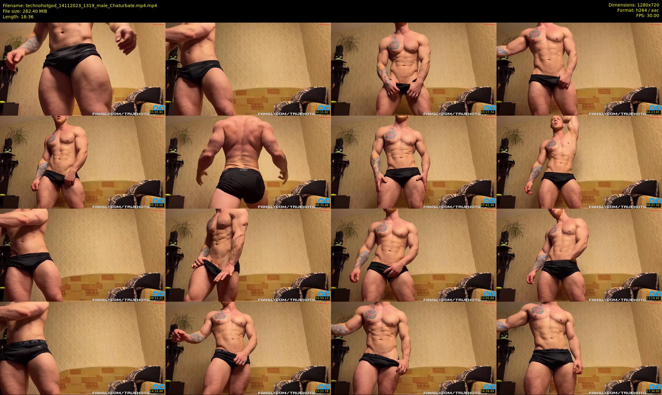 technohotgod — 19 minute Chaturbate male cam show recording, 720p, Nov 14, 2023
