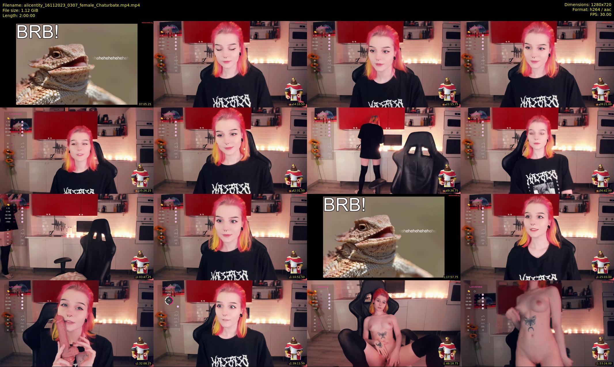alicentity — 120 minute Chaturbate female cam show recording, 720p, Nov 16, 2023