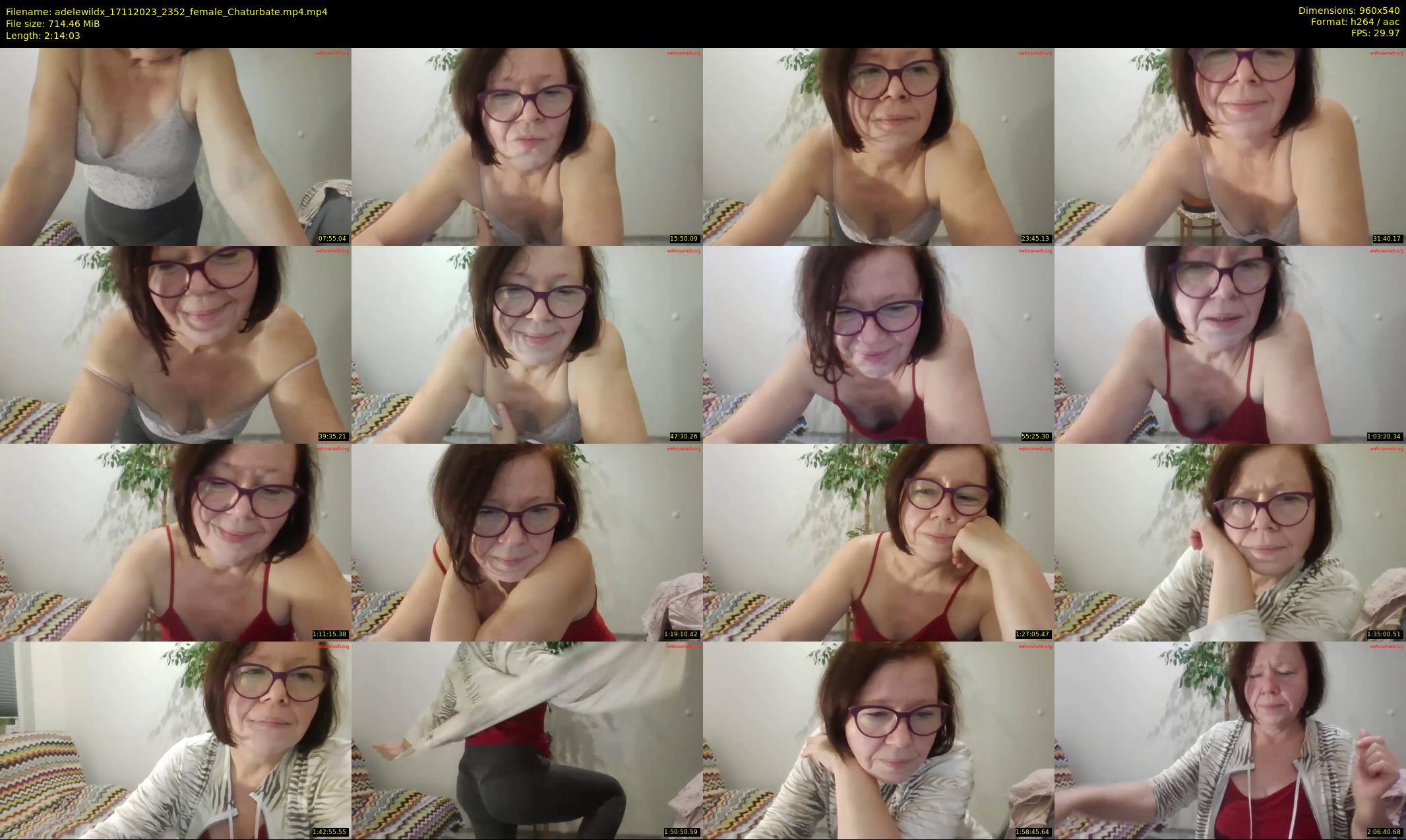 adelewildx — 135 minute Chaturbate female cam show recording, 480p, Nov 17, 2023