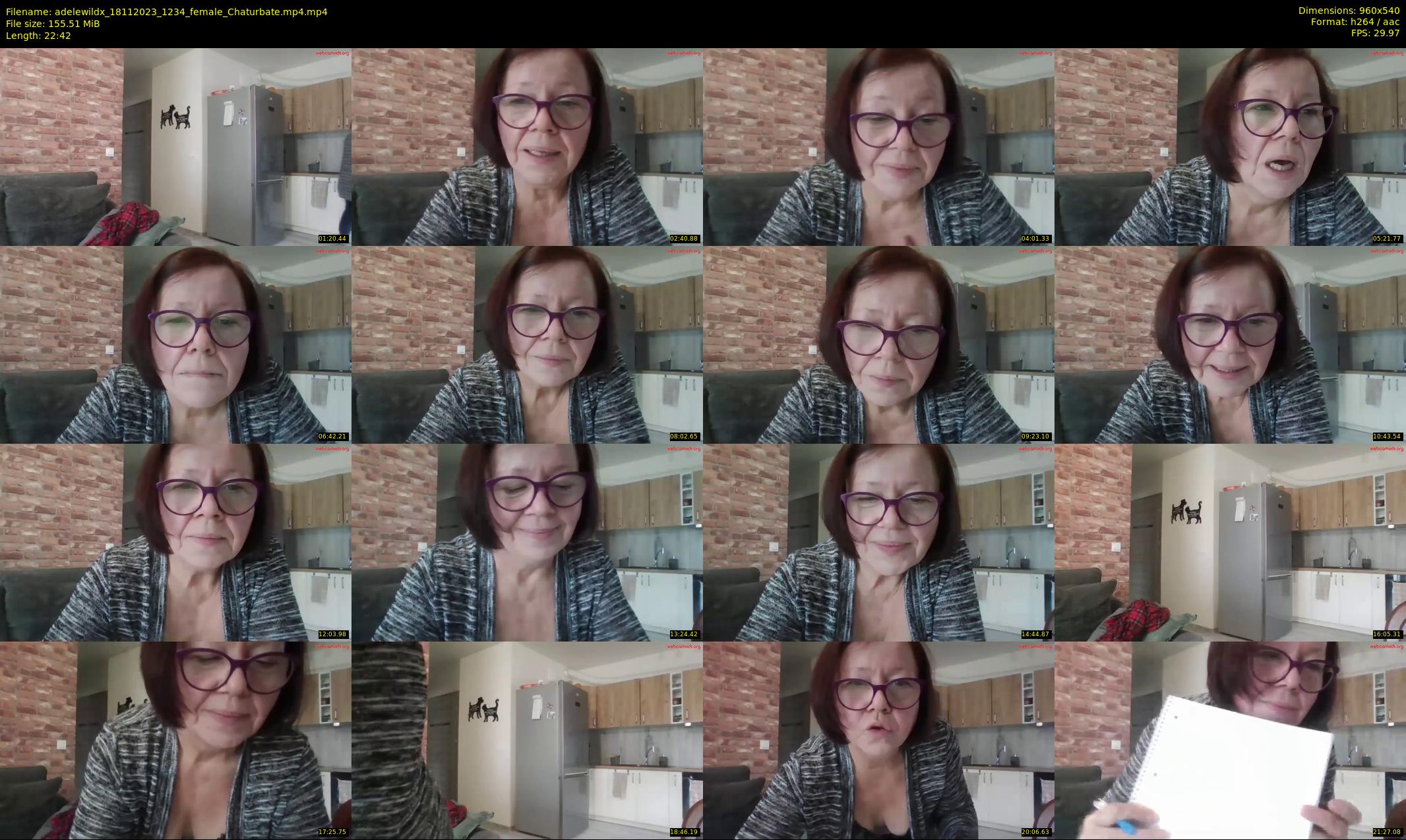 adelewildx — 23 minute Chaturbate female cam show recording, 480p, Nov 18, 2023