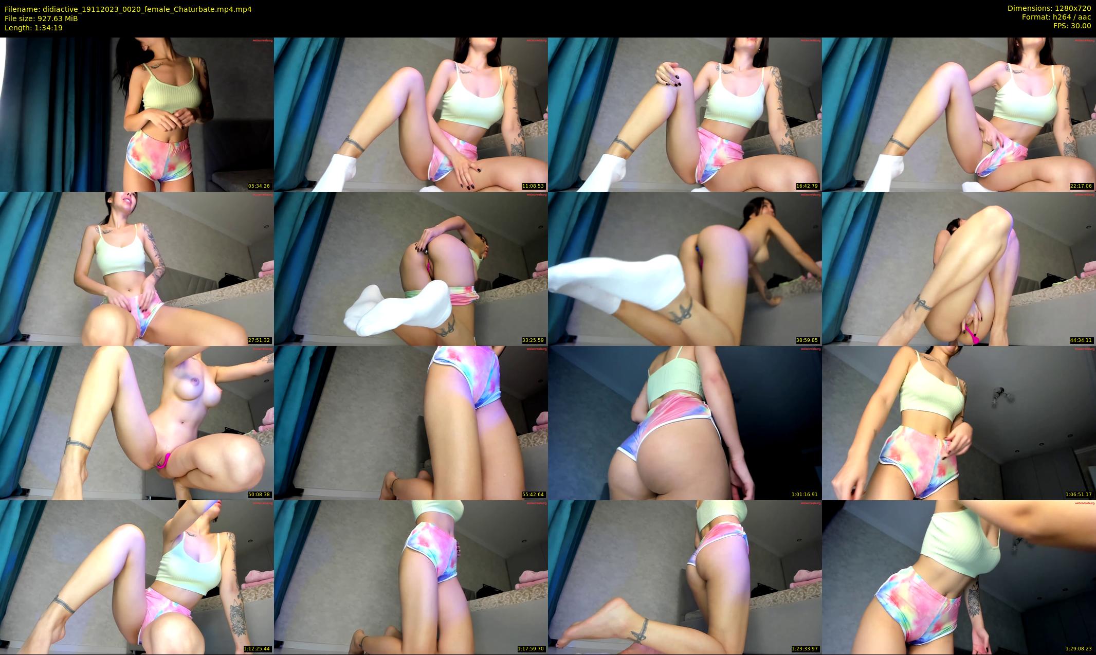 didiactive — 95 minute Chaturbate female cam show recording, 720p, Nov 19, 2023