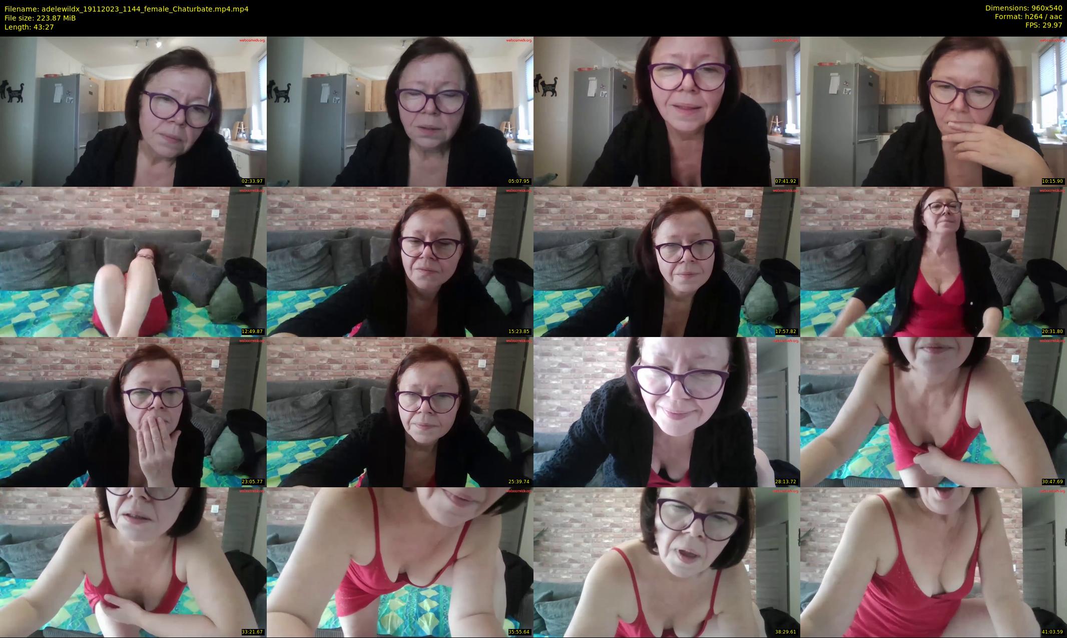 adelewildx — 44 minute Chaturbate female cam show recording, 480p, Nov 19, 2023