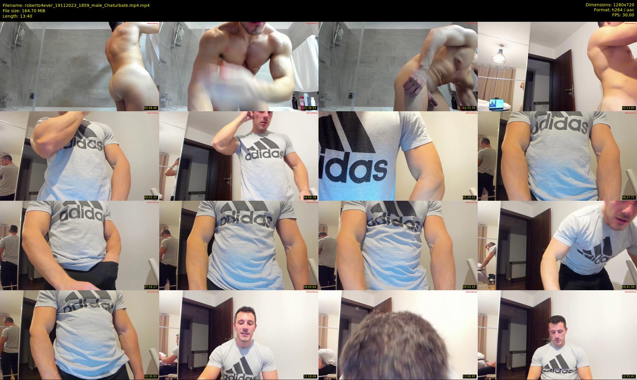 roberto4ever — 14 minute Chaturbate male cam show recording, 720p, Nov 19, 2023