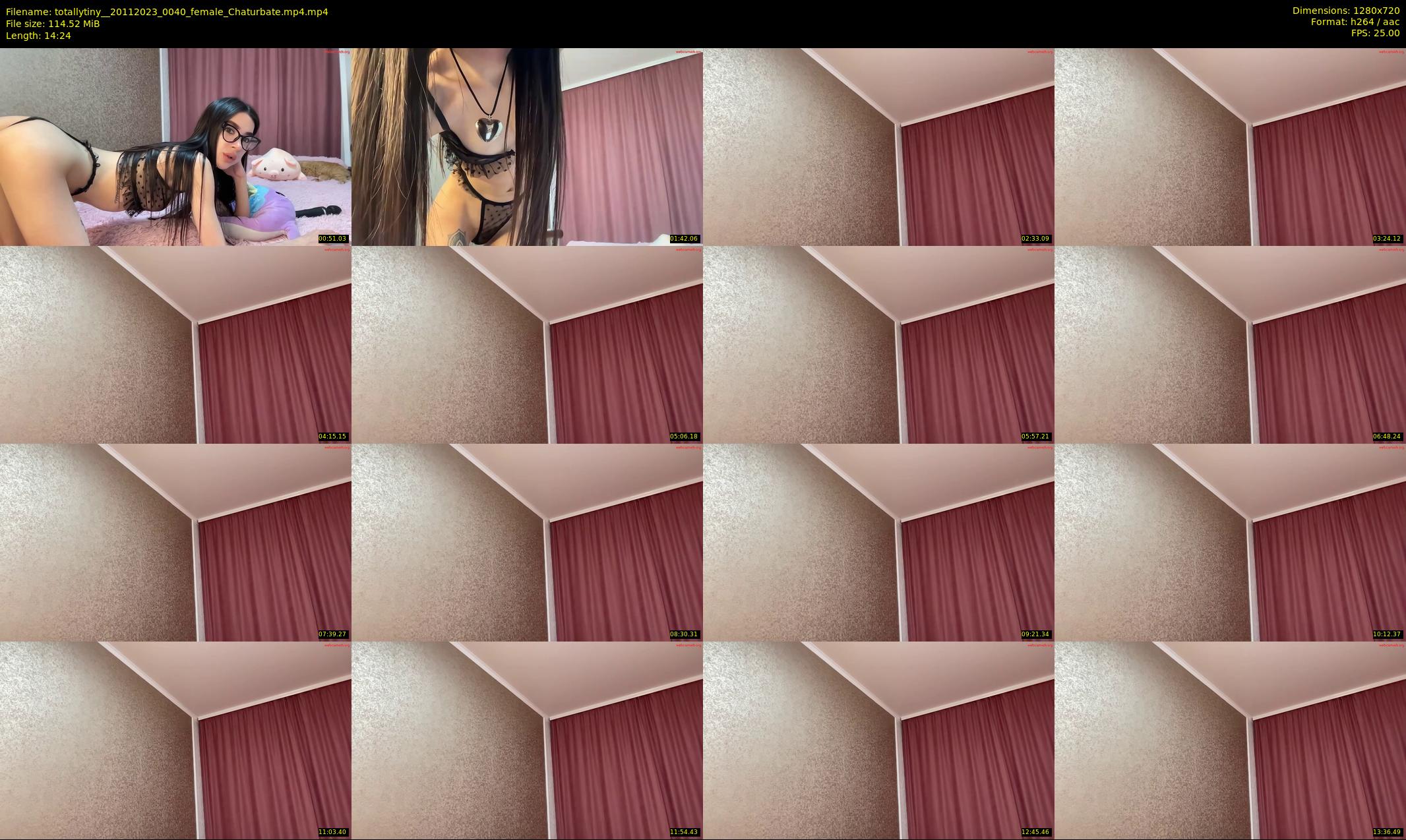 totallytiny_ — 15 minute Chaturbate female cam show recording, 720p, Nov 20, 2023