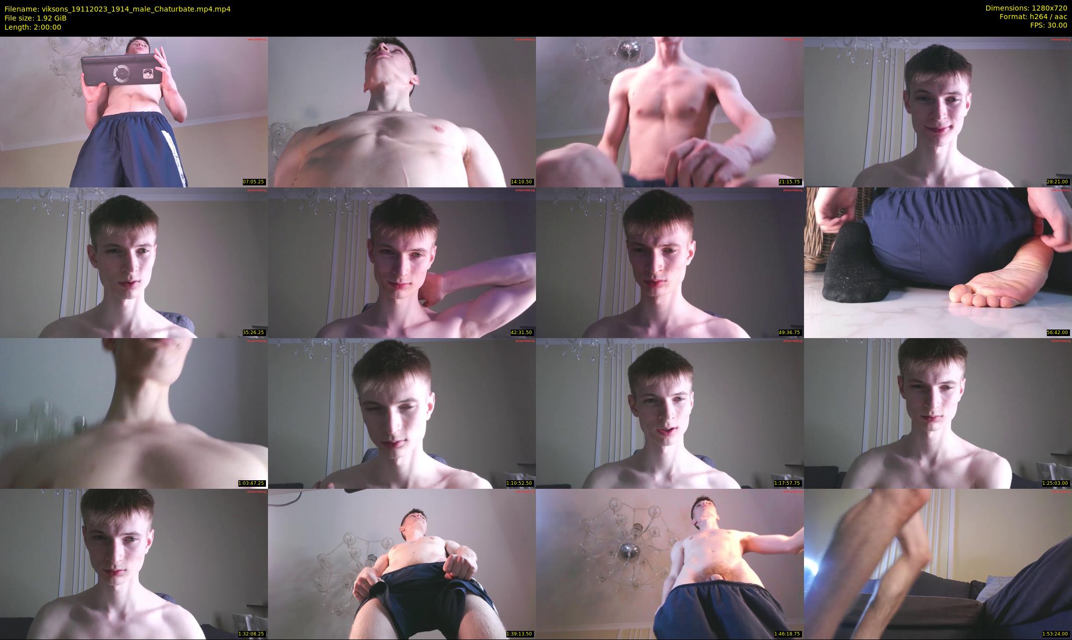 viksons — 120 minute Chaturbate male cam show recording, 720p, Nov 19, 2023