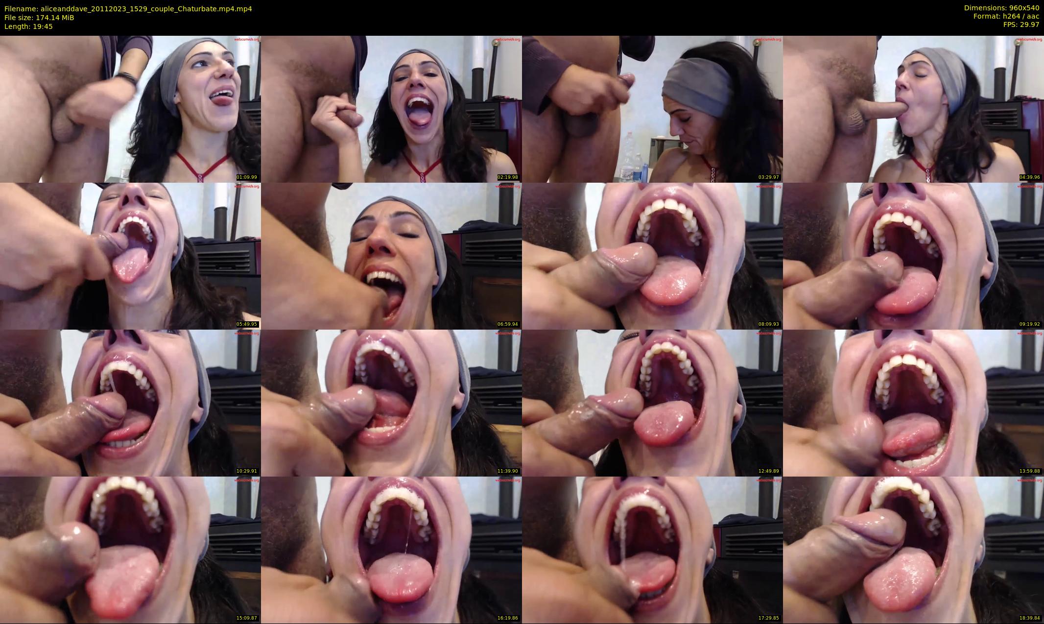 aliceanddave — 20 minute Chaturbate couple cam show recording, 480p, Nov 20, 2023
