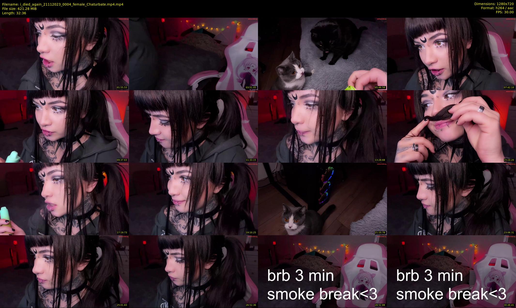 i_died_again — 33 minute Chaturbate female cam show recording, 720p, Nov 21, 2023