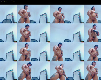 silvabranko — 8 minute Chaturbate male cam show recording, 720p, Nov 20, 2023