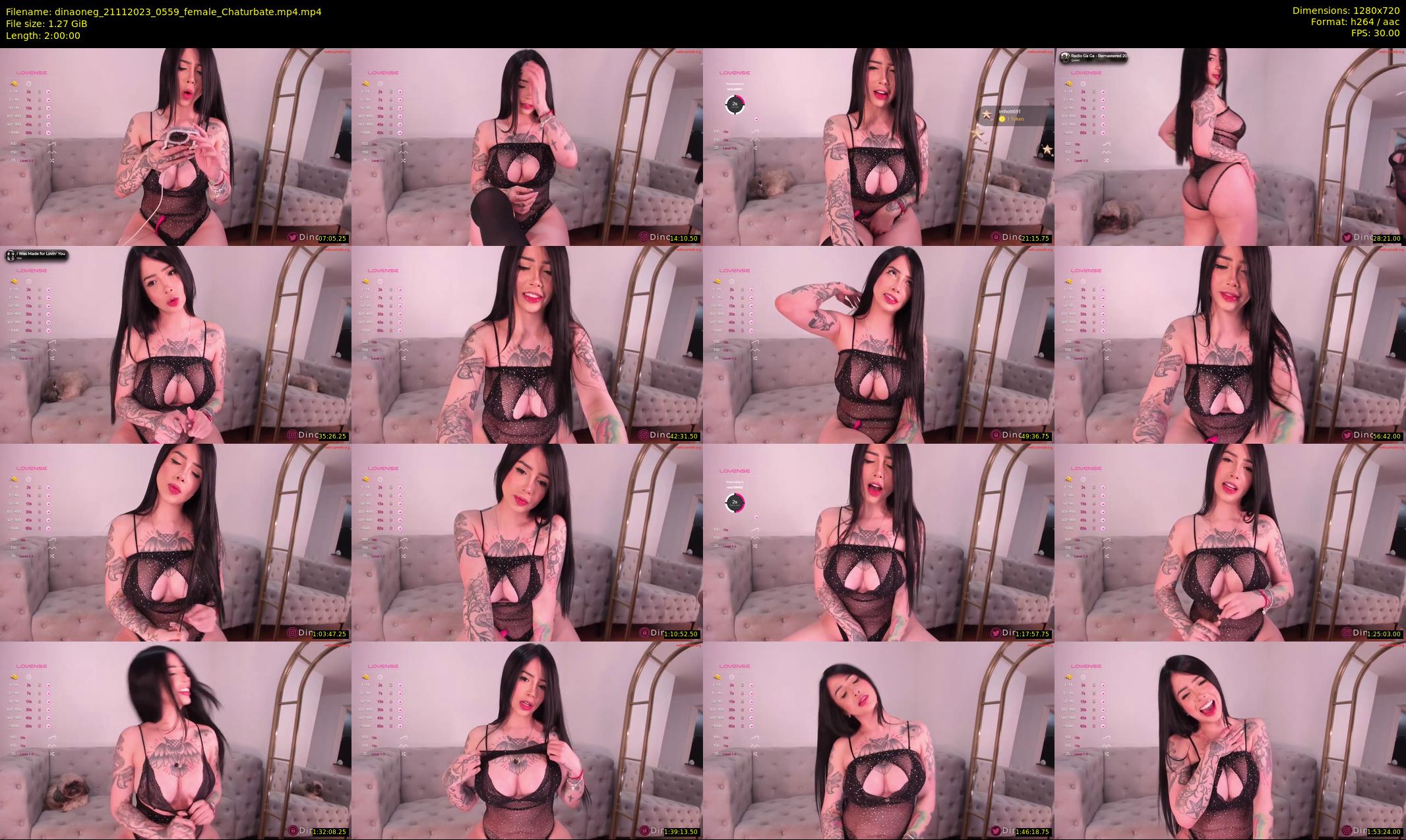 dinaoneg — 120 minute Chaturbate female cam show recording, 720p, Nov 21, 2023