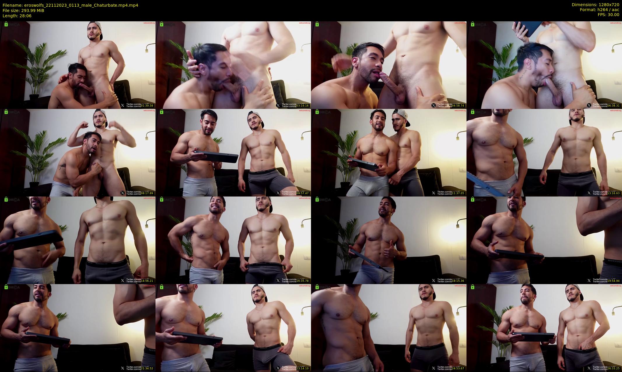 eroswolfs — 29 minute Chaturbate male cam show recording, 720p, Nov 22, 2023