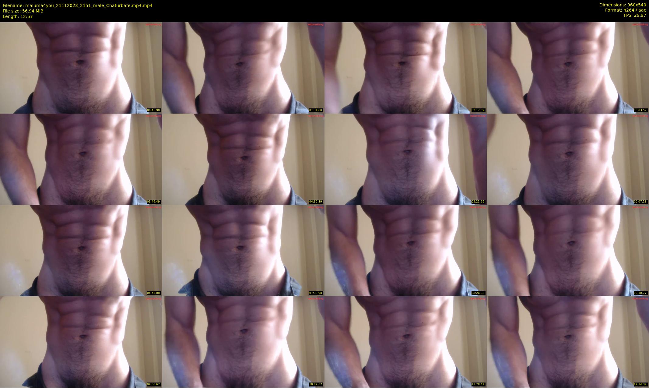 maluma4you — 13 minute Chaturbate male cam show recording, 480p, Nov 21, 2023