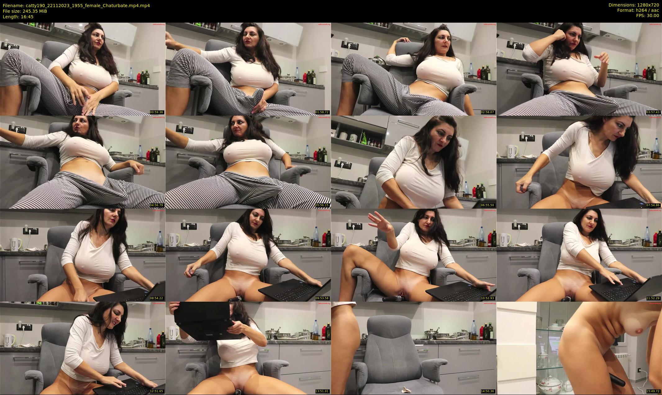 catty190 — 17 minute Chaturbate female cam show recording, 720p, Nov 22, 2023