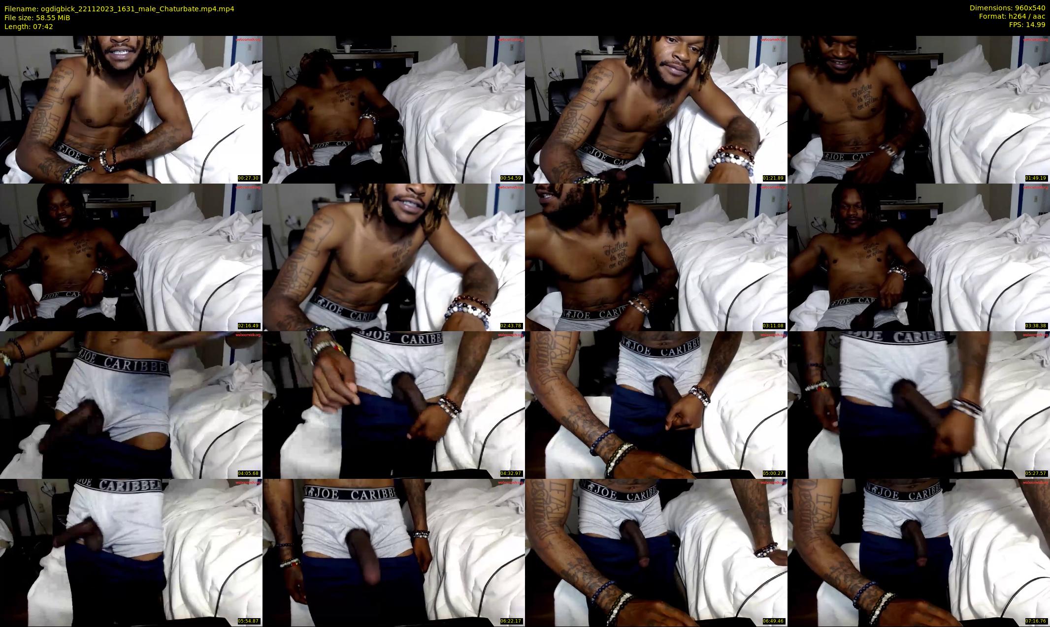 ogdigbick — 8 minute Chaturbate male cam show recording, 480p, Nov 22, 2023
