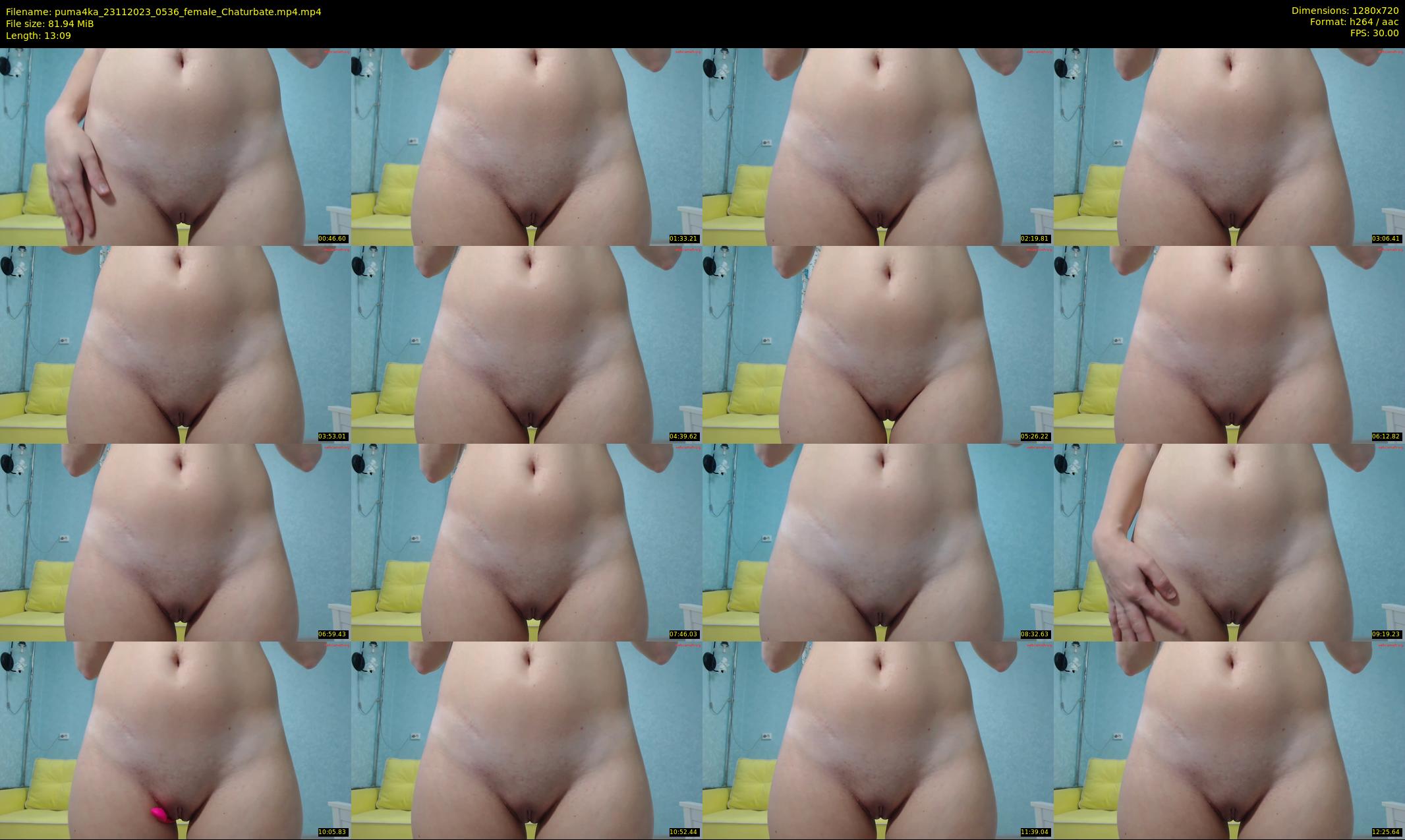 puma4ka — 14 minute Chaturbate female cam show recording, 720p, Nov 23, 2023