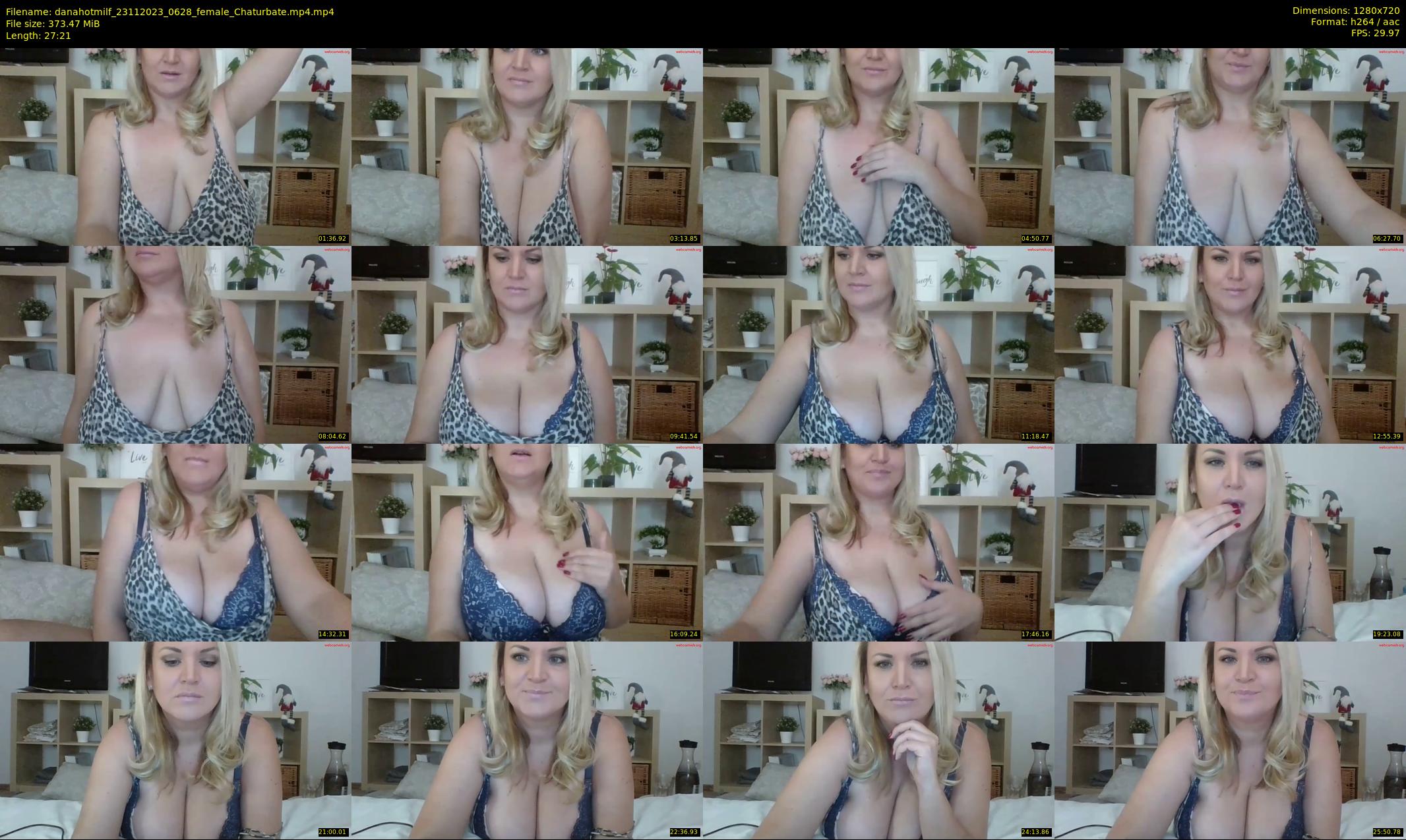 danahotmilf — 28 minute Chaturbate female cam show recording, 720p, Nov 23, 2023