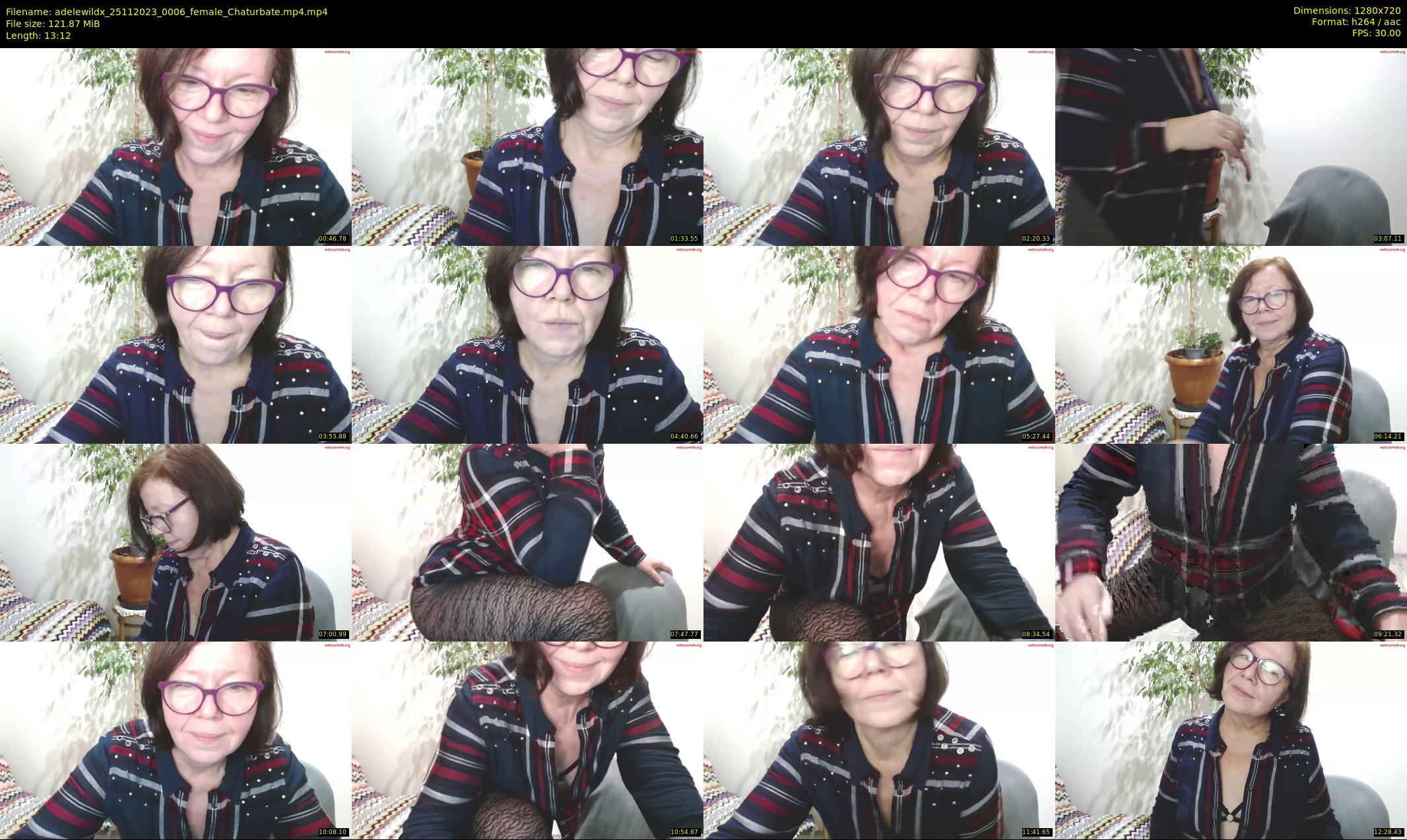 adelewildx — 14 minute Chaturbate female cam show recording, 720p, Nov 25, 2023