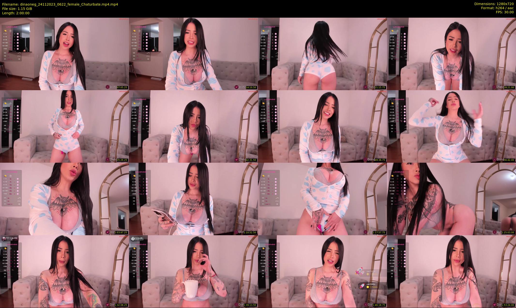 dinaoneg — 120 minute Chaturbate female cam show recording, 720p, Nov 24, 2023