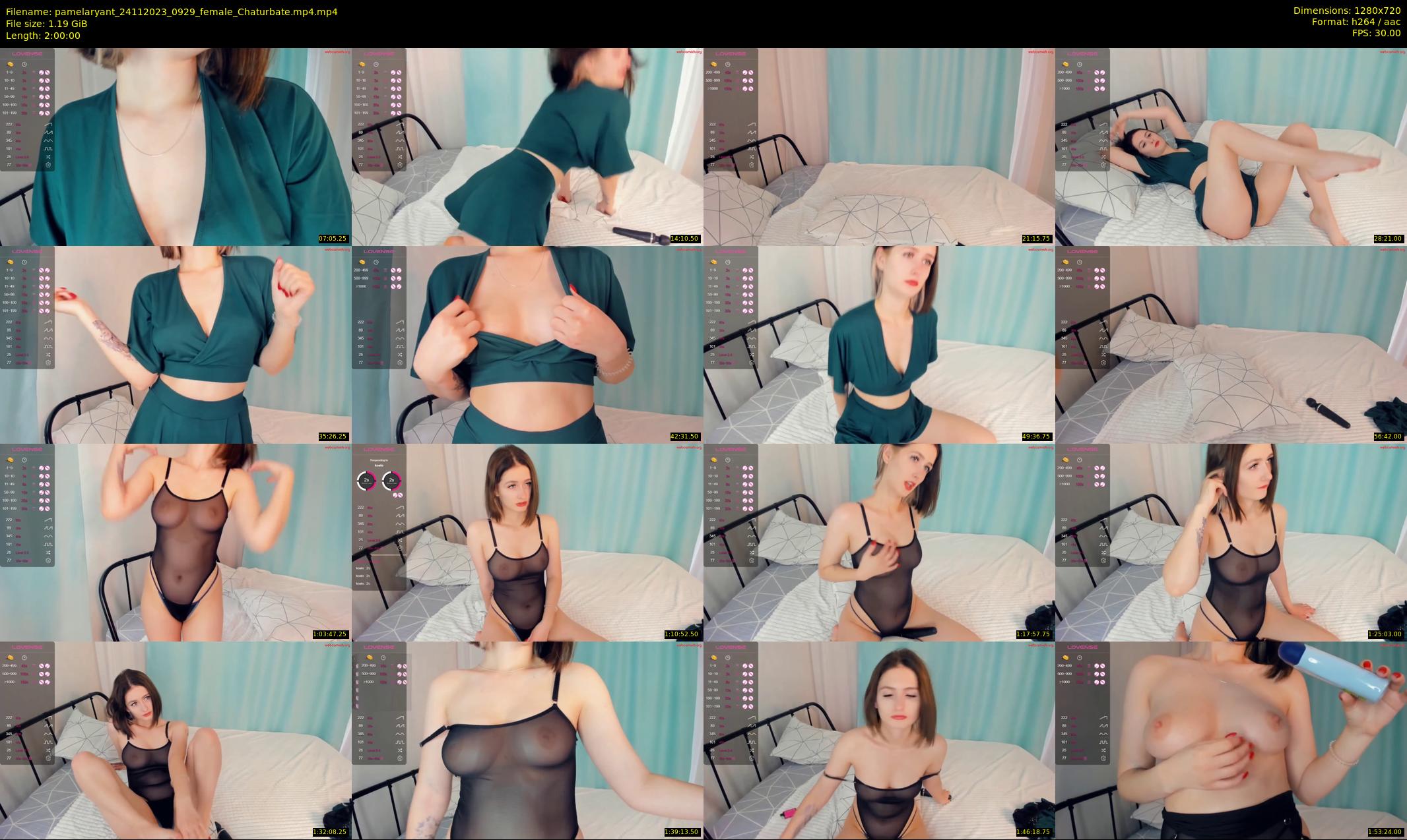 pamelaryant — 120 minute Chaturbate female cam show recording, 720p, Nov 24, 2023