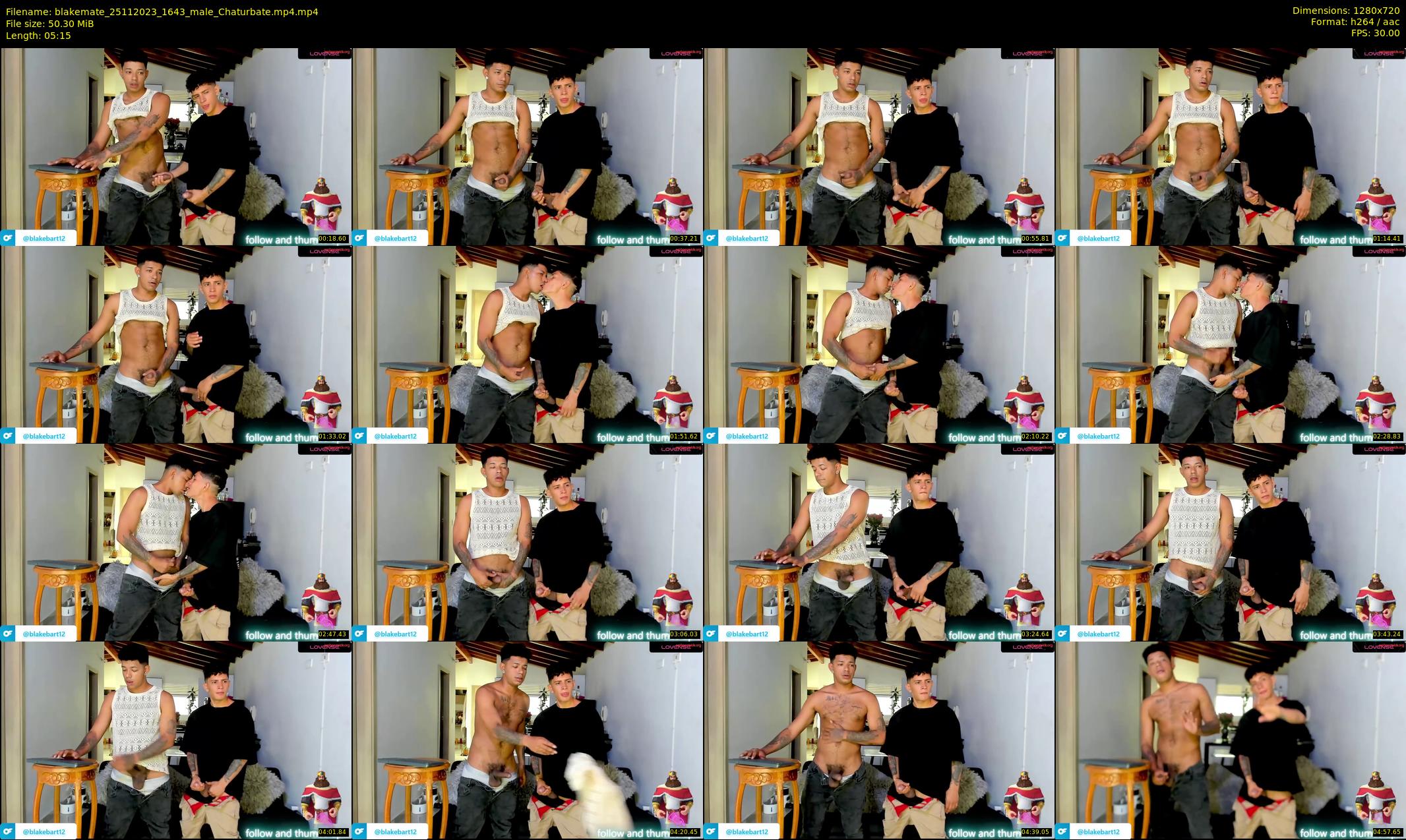 blakemate — 6 minute Chaturbate male cam show recording, 720p, Nov 25, 2023