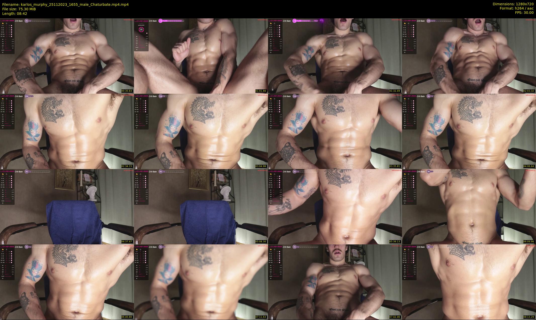 karlos_murphy — 9 minute Chaturbate male cam show recording, 720p, Nov 25, 2023