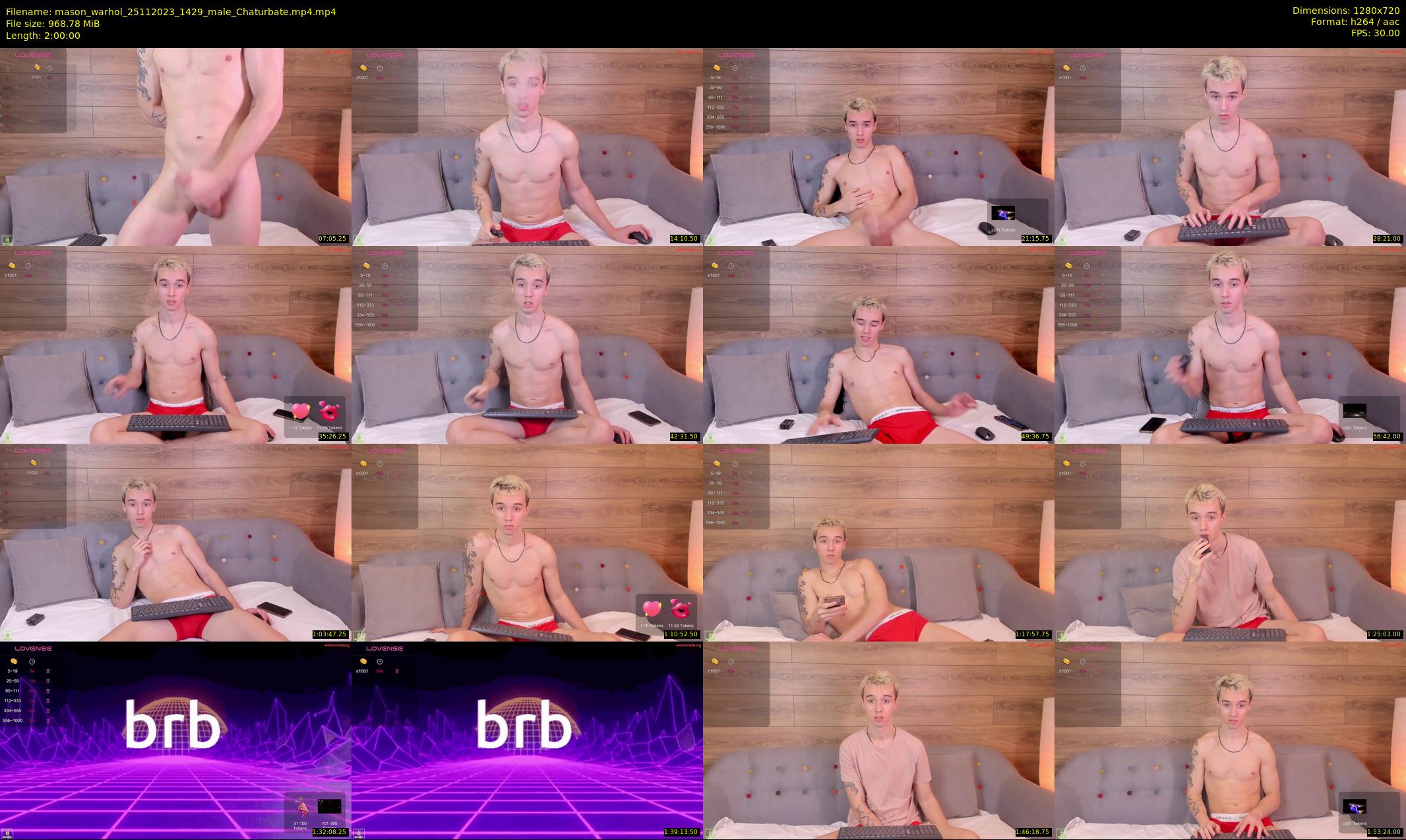 mason_warhol — 120 minute Chaturbate male cam show recording, 720p, Nov 25, 2023