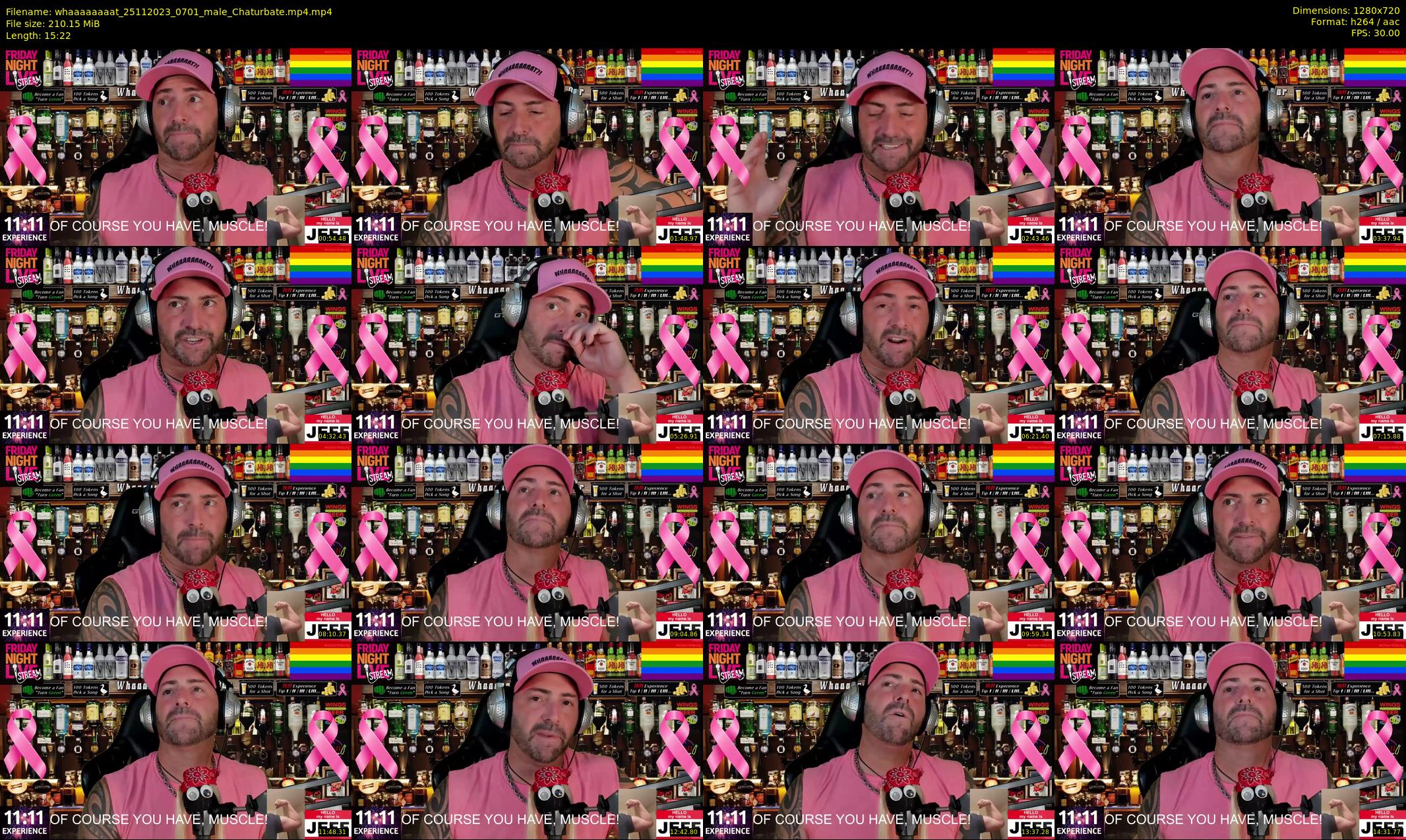 whaaaaaaaat — 16 minute Chaturbate couple cam show recording, 720p, Nov 25, 2023