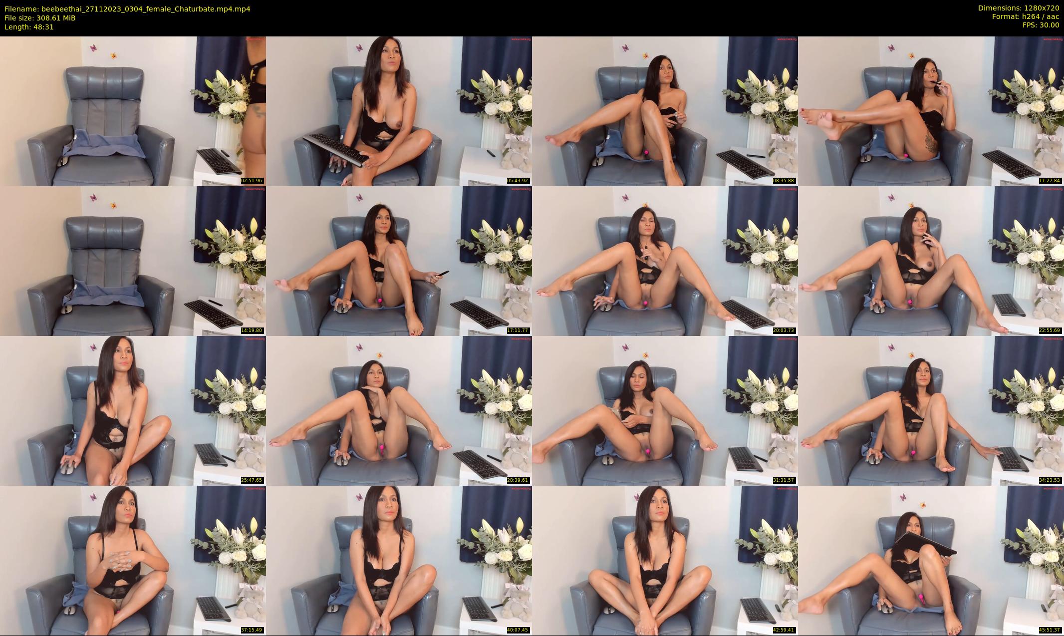 beebeethai — 49 minute Chaturbate female cam show recording, 720p, Nov 27, 2023