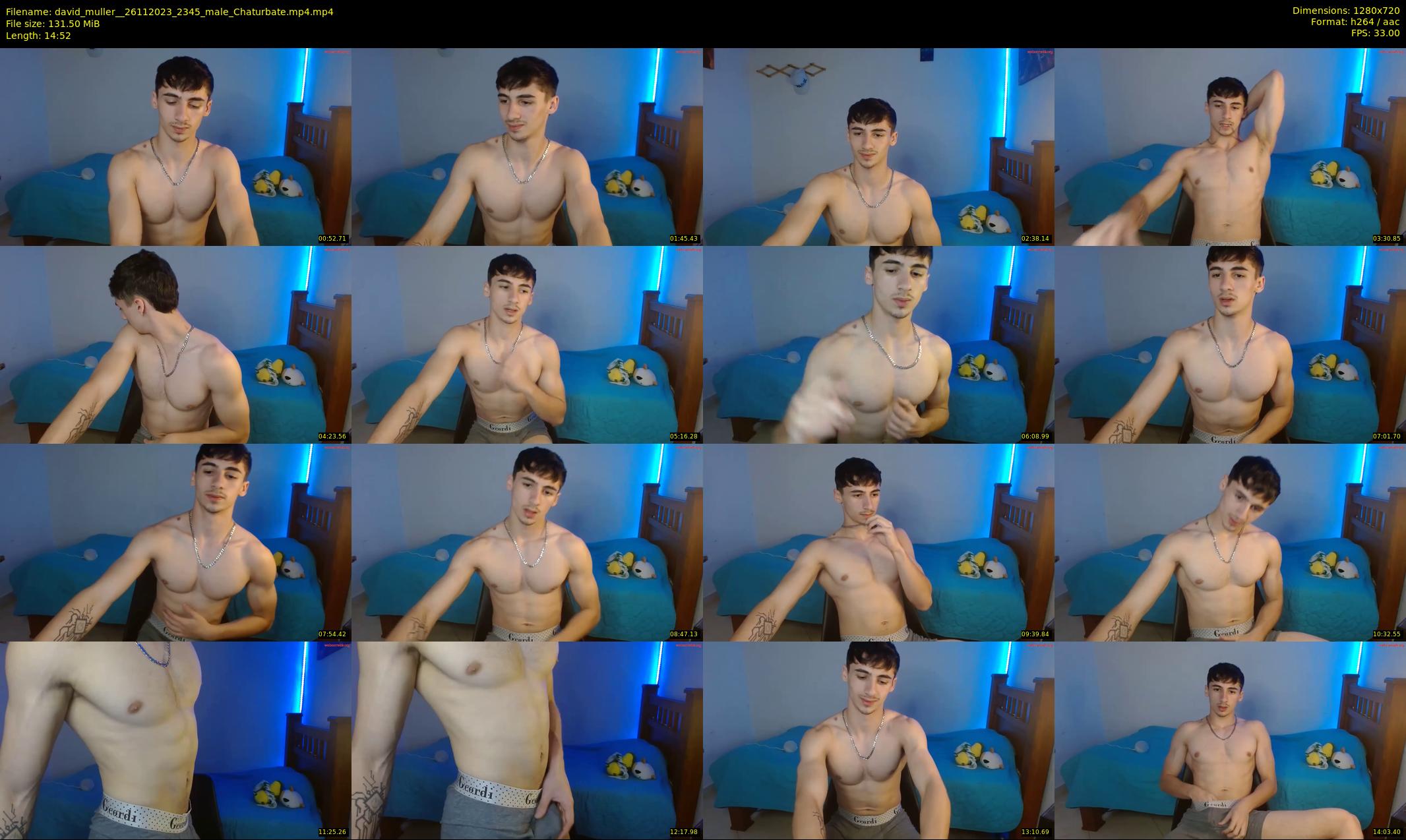david_muller_ — 15 minute Chaturbate male cam show recording, 720p, Nov 26, 2023