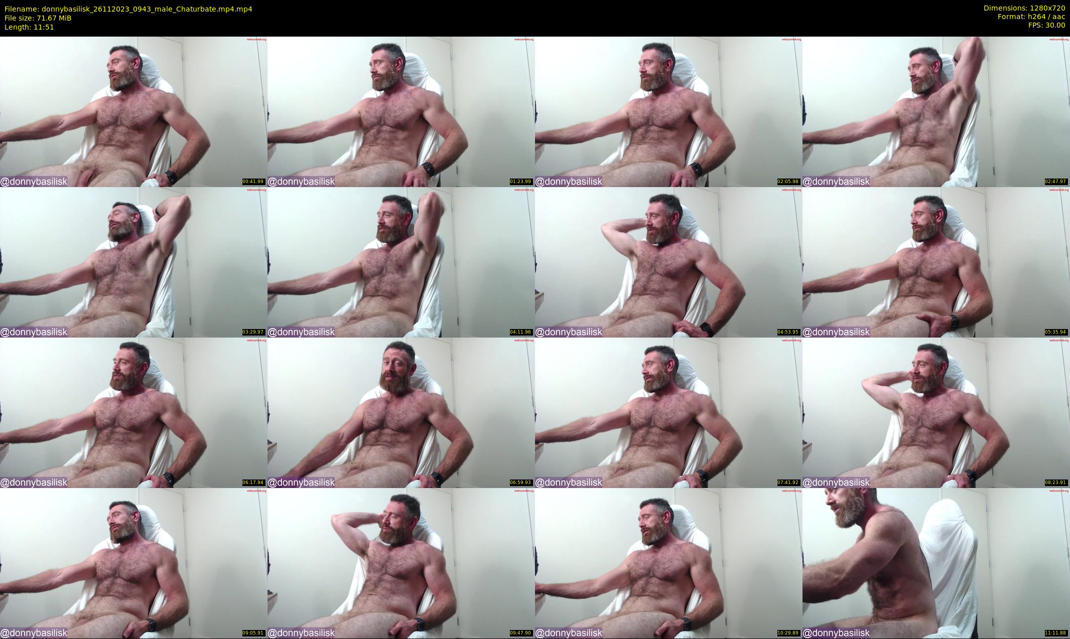 donnybasilisk — 12 minute Chaturbate male cam show recording, 720p, Nov 26, 2023