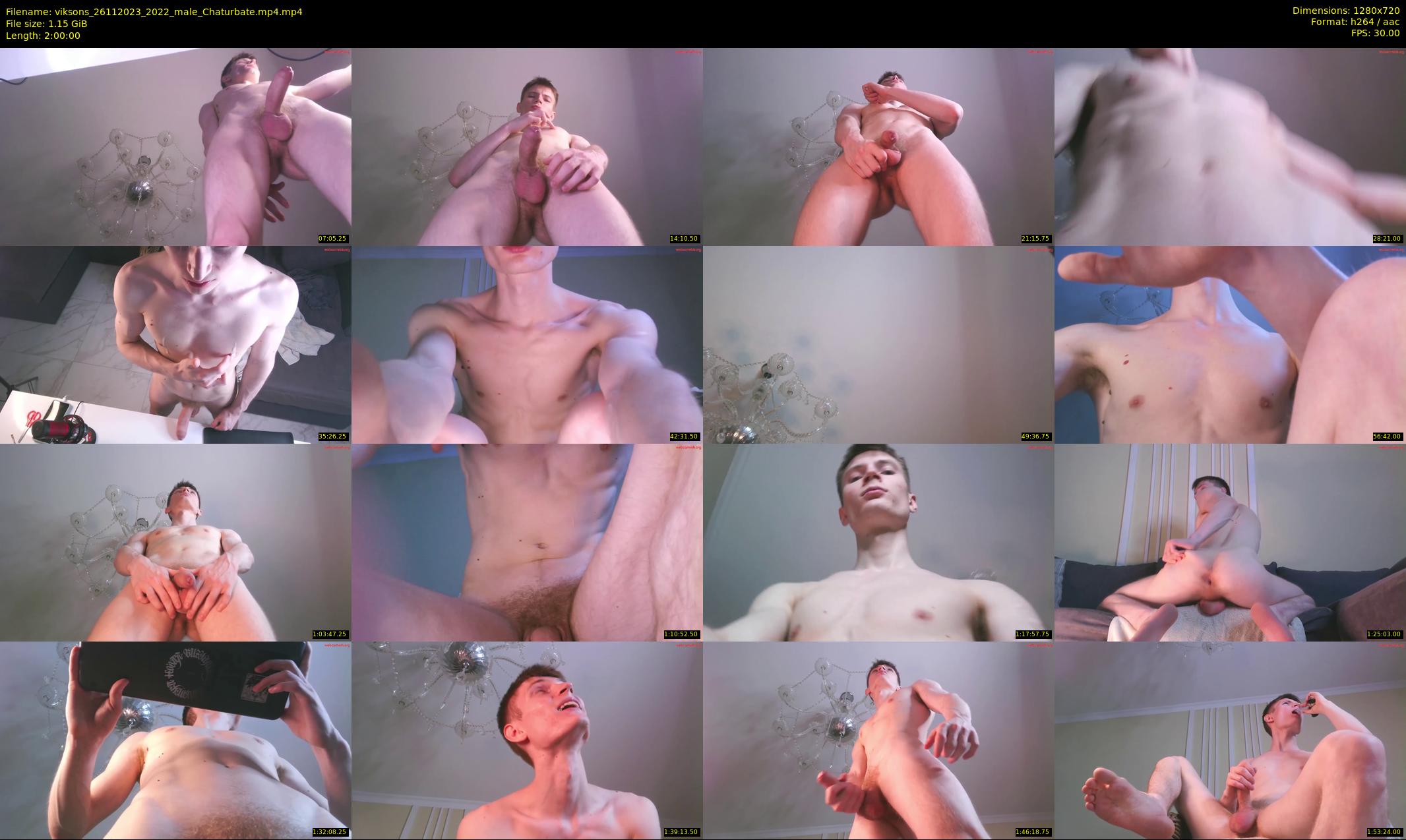 viksons — 120 minute Chaturbate male cam show recording, 720p, Nov 26, 2023