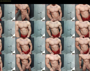 advp69 — 24 minute Chaturbate male cam show recording, 480p, Nov 29, 2023