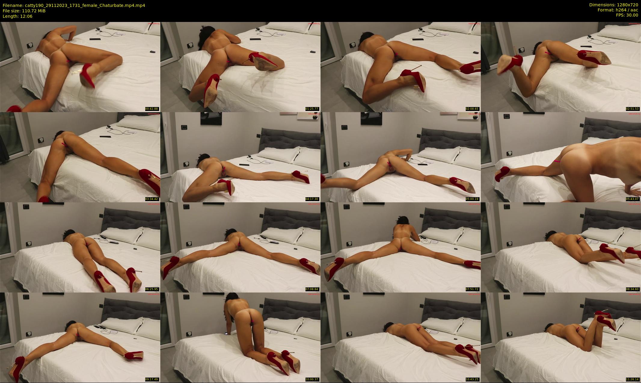 catty190 — 13 minute Chaturbate female cam show recording, 720p, Nov 29, 2023