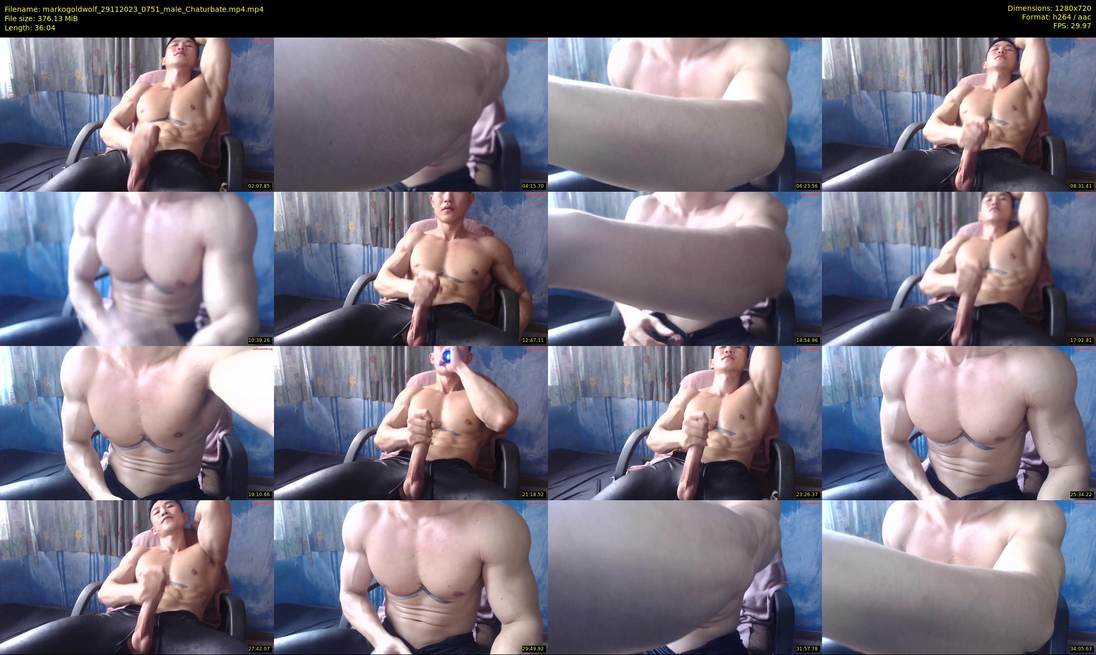 markogoldwolf — 37 minute Chaturbate male cam show recording, 720p, Nov 29, 2023