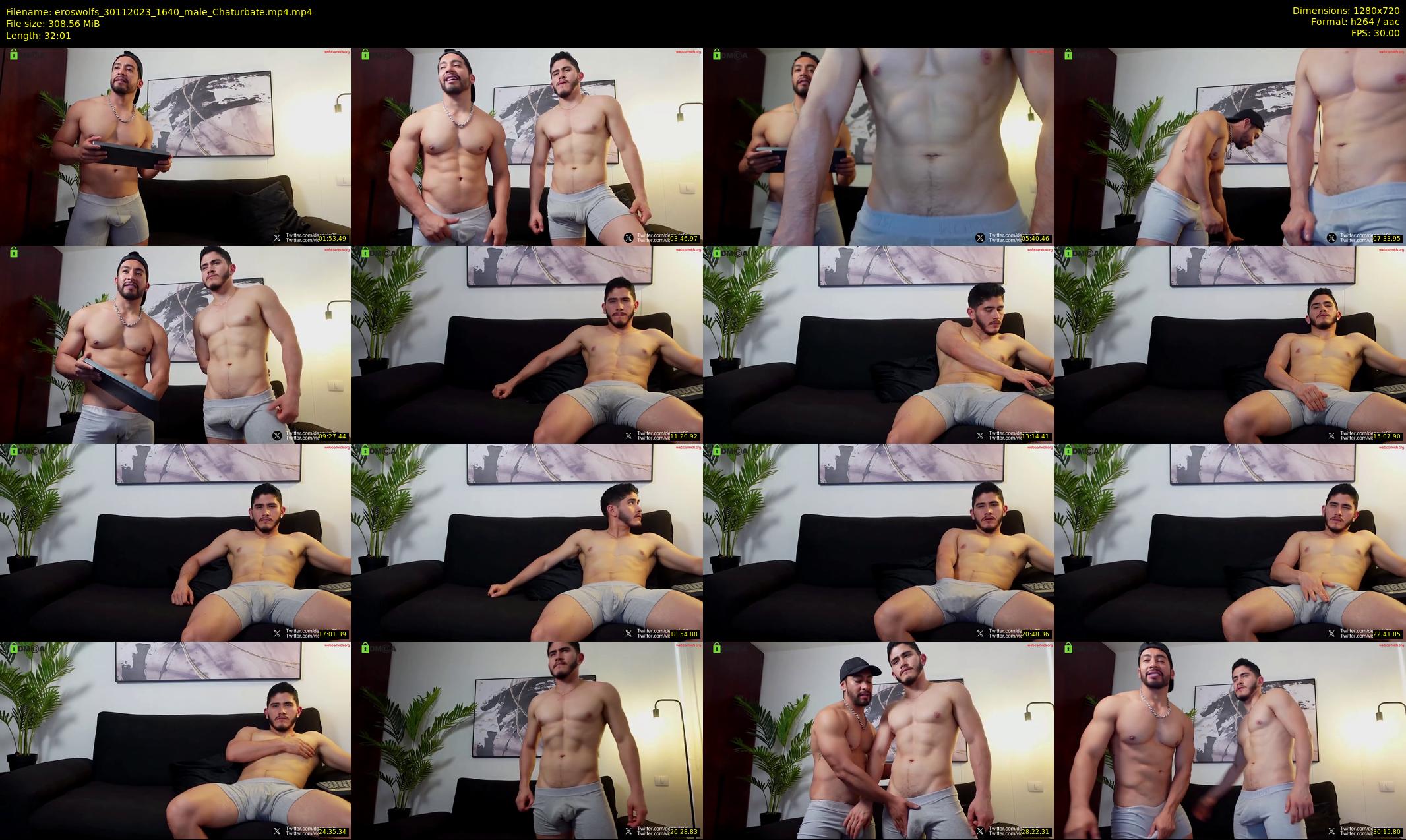 eroswolfs — 33 minute Chaturbate male cam show recording, 720p, Nov 30, 2023