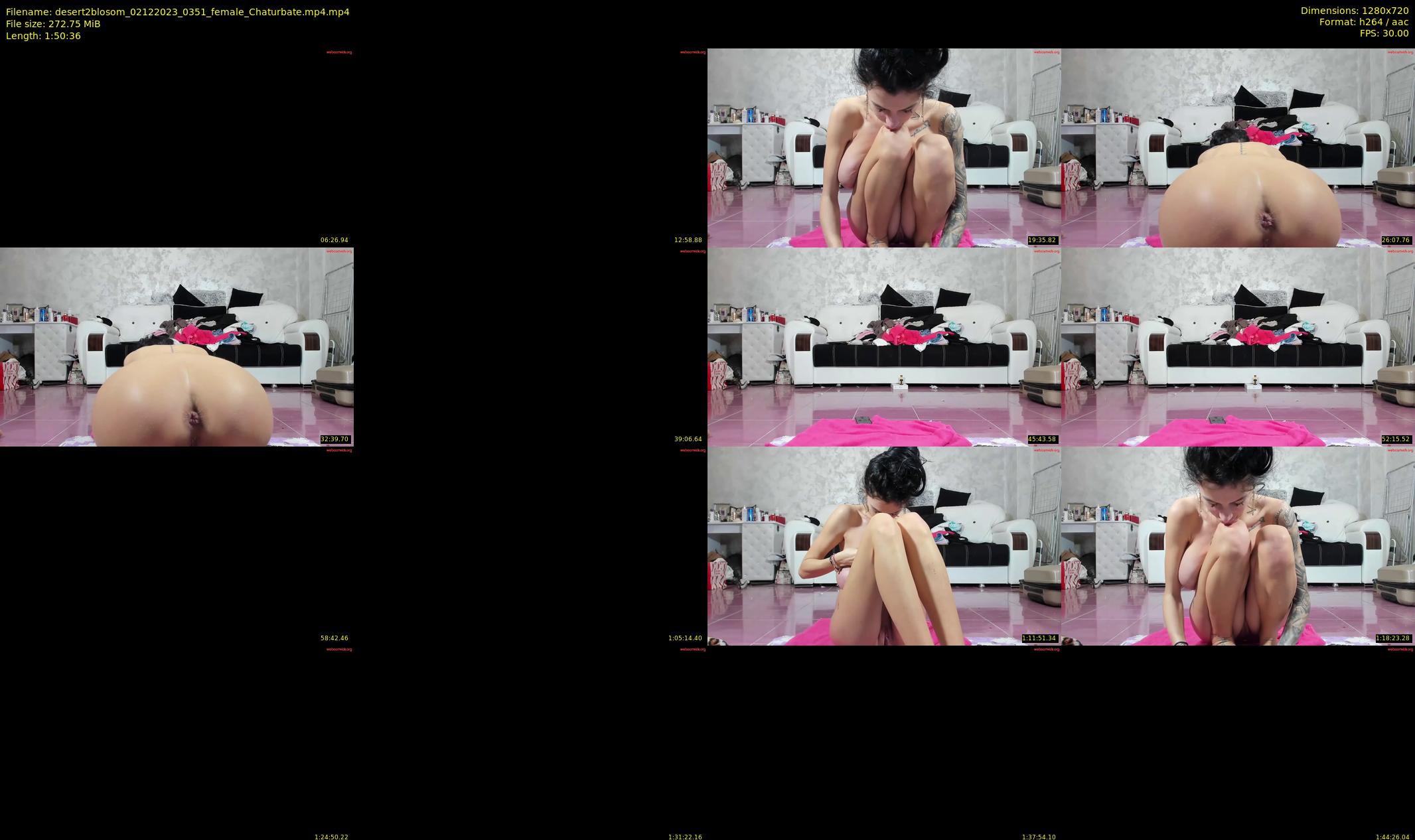 desert2blosom — 111 minute Chaturbate female cam show recording, 720p, Dec 2, 2023