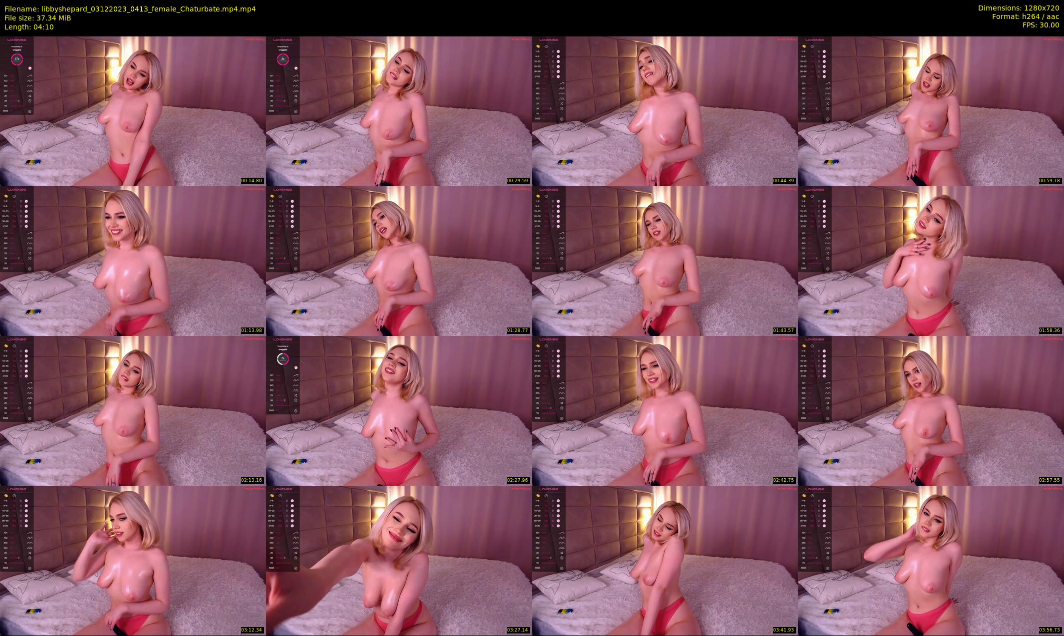 libbyshepard — 5 minute Chaturbate female cam show recording, 720p, Dec 3, 2023