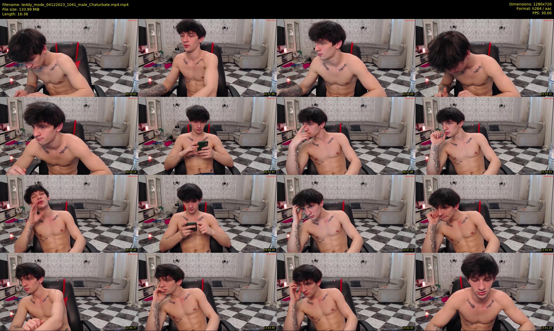 teddy_mode — 17 minute Chaturbate couple cam show recording, 720p, Dec 4, 2023