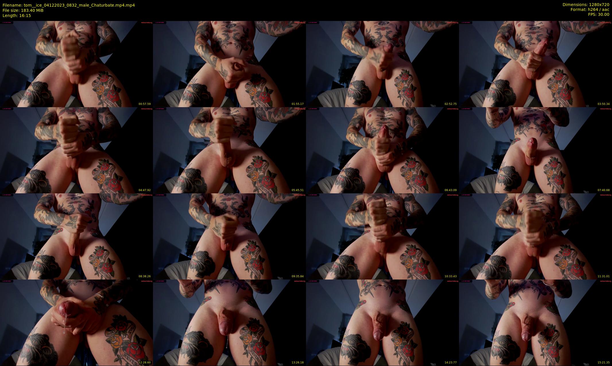 tom__ice — 17 minute Chaturbate male cam show recording, 720p, Dec 4, 2023