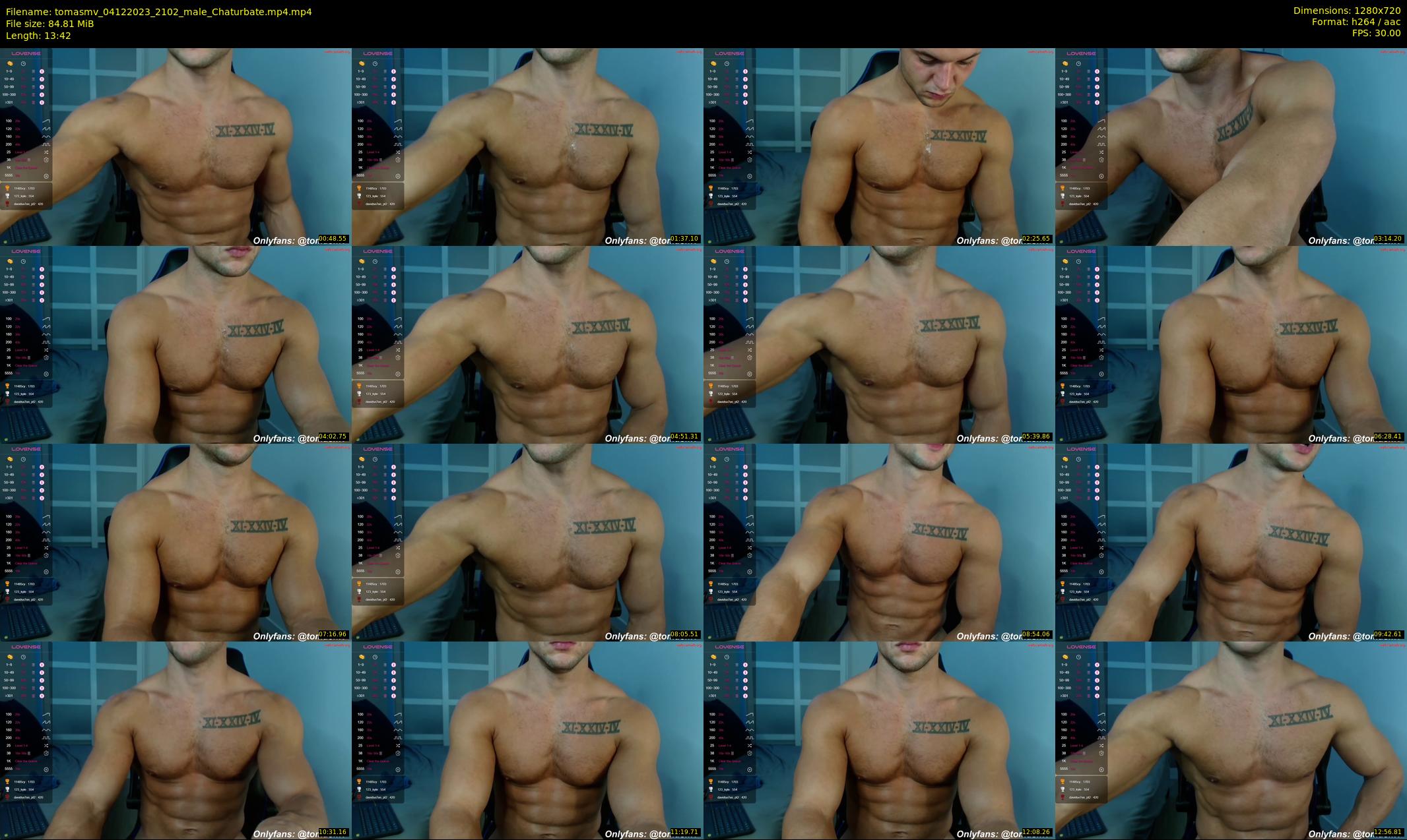 tomasmv — 14 minute Chaturbate male cam show recording, 720p, Dec 4, 2023