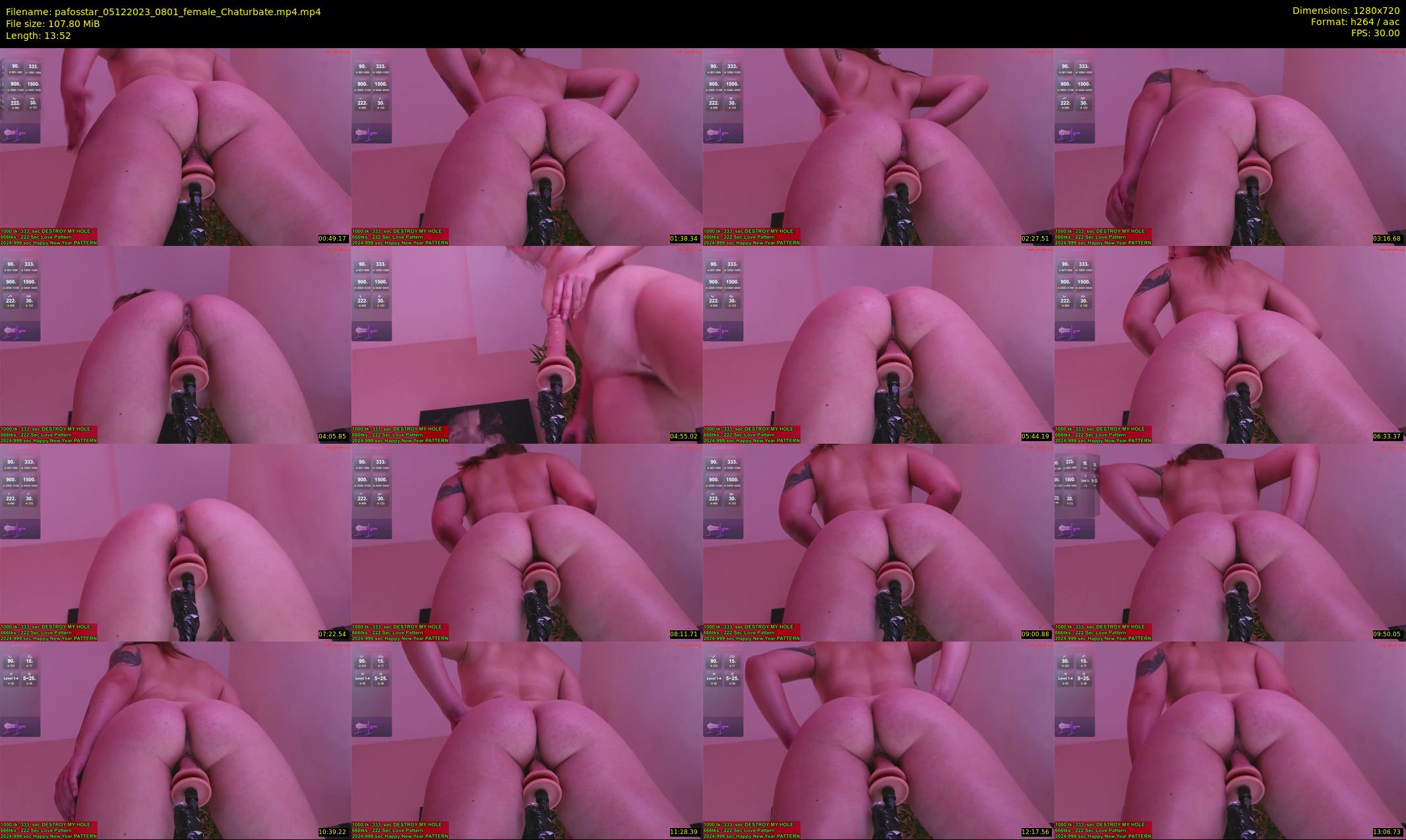 pafosstar — 14 minute Chaturbate female cam show recording, 720p, Dec 5, 2023