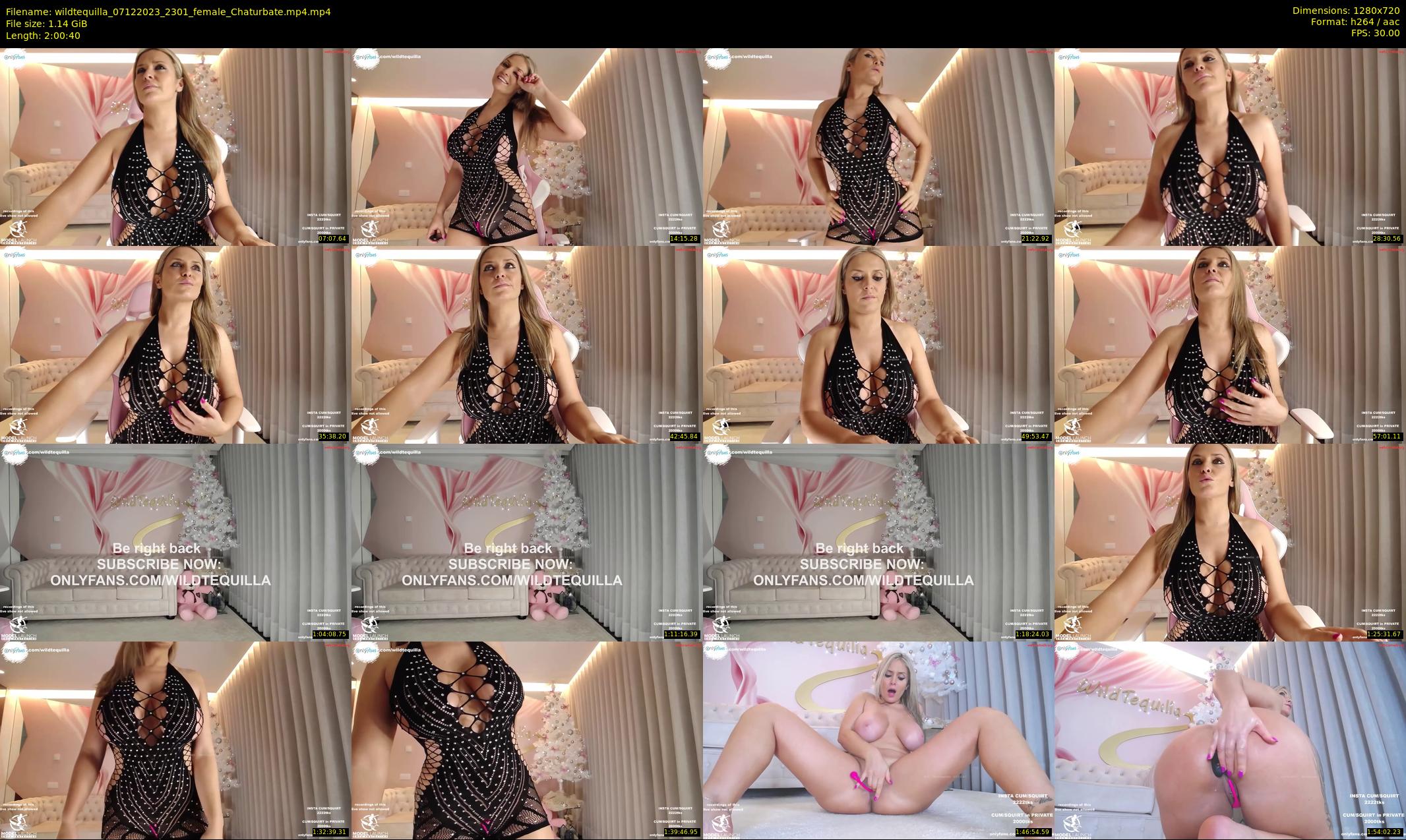 wildtequilla — 121 minute Chaturbate couple cam show recording, 720p, Dec 7, 2023