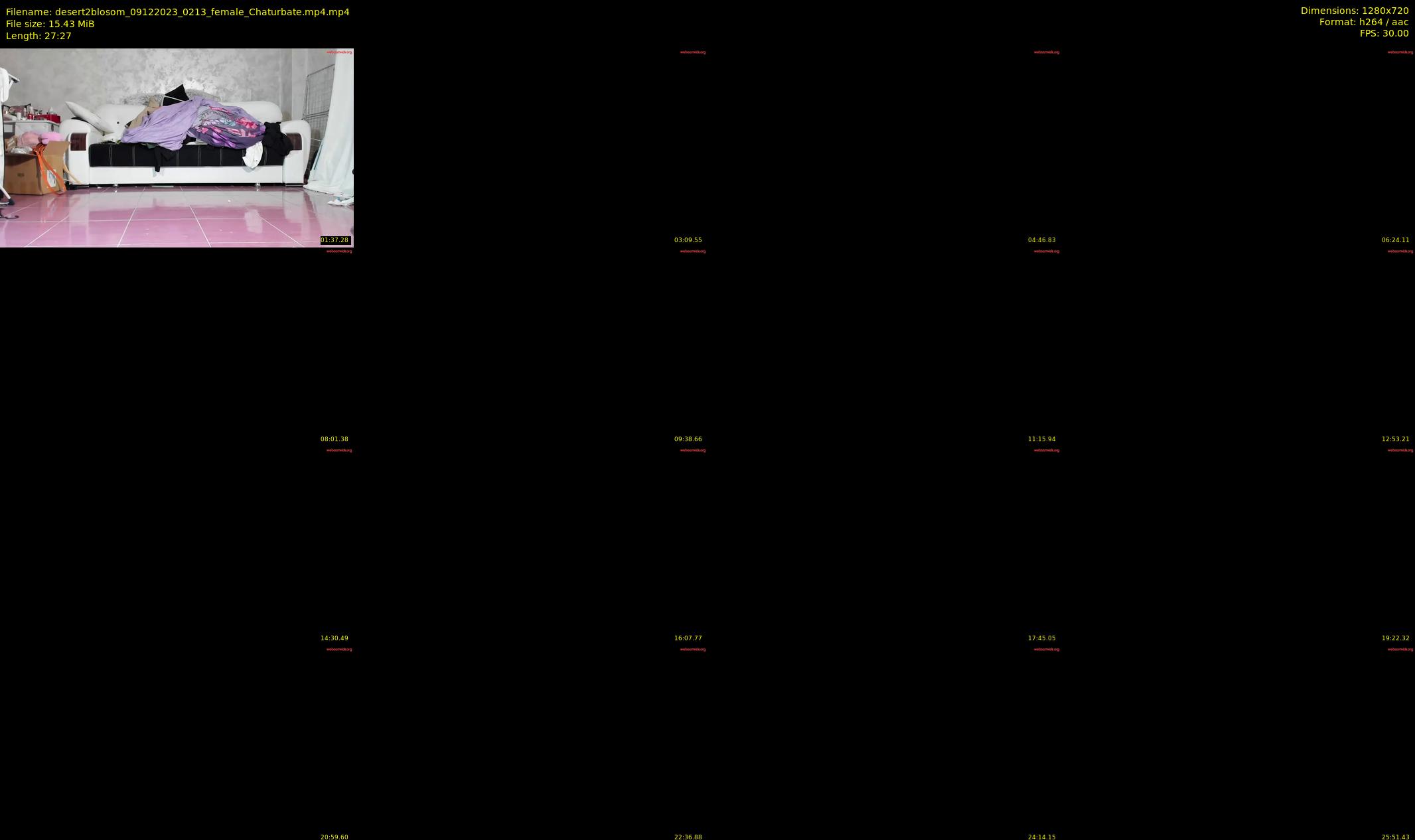 desert2blosom — 28 minute Chaturbate female cam show recording, 720p, Dec 9, 2023