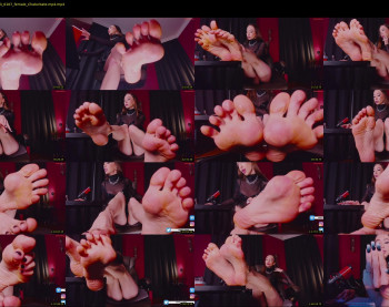 presidenttaylor — 120 minute Chaturbate female cam show recording, 720p, Dec 9, 2023