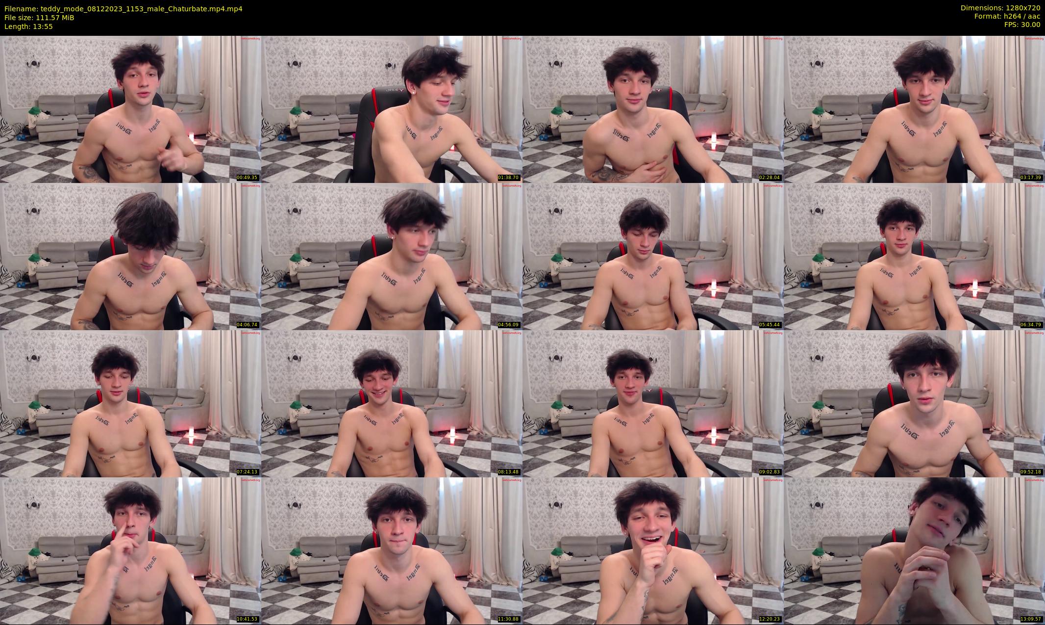 teddy_mode — 14 minute Chaturbate couple cam show recording, 720p, Dec 8, 2023