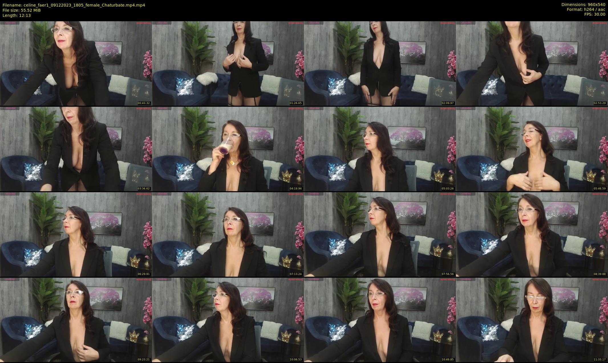 celine_faer1 — 13 minute Chaturbate female cam show recording, 480p, Dec 9, 2023
