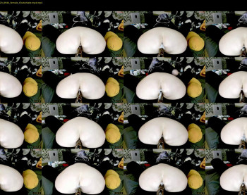 doomednympho — 120 minute Chaturbate female cam show recording, 720p, Dec 9, 2023